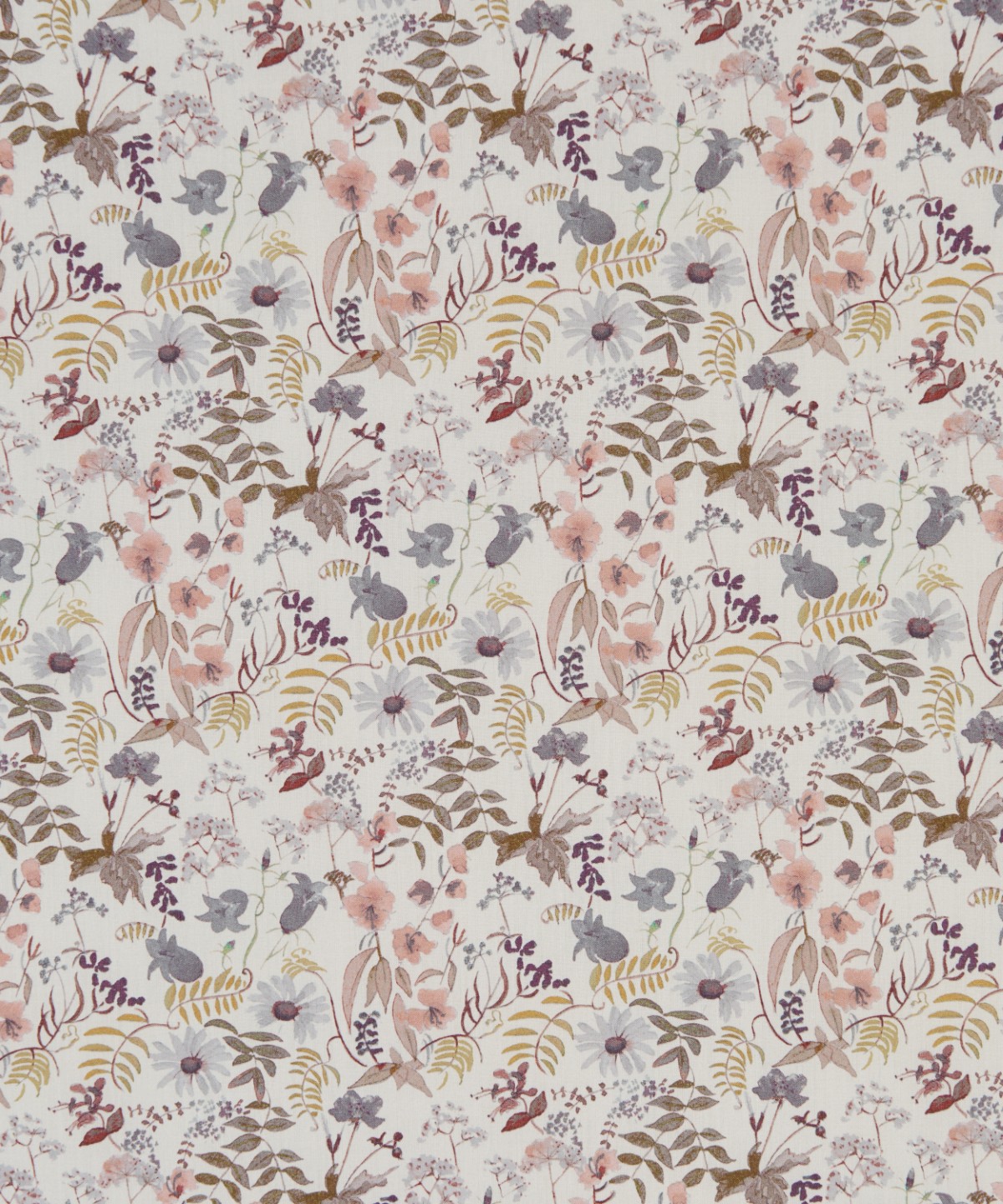 チャートウェル・ブルームス オーガニック・タナローン