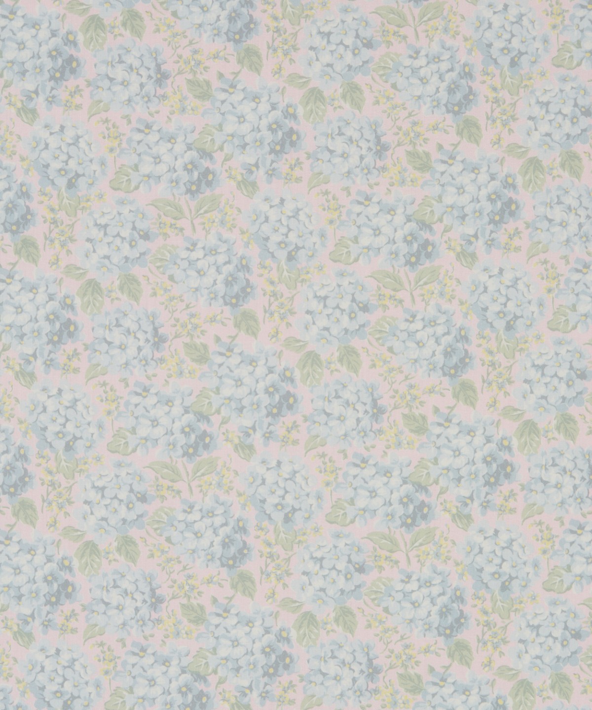 ハンプシャー・ハイドランジア オーガニック・タナローン