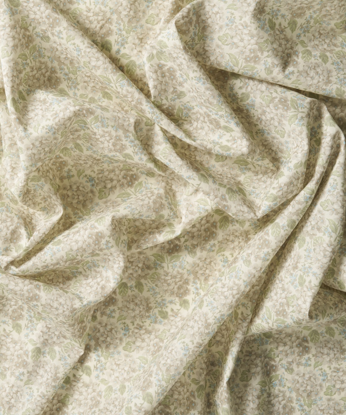 ハンプシャー・ハイドランジア オーガニック・タナローン