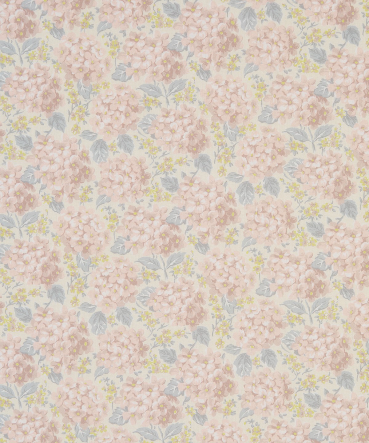 ハンプシャー・ハイドランジア オーガニック・タナローン