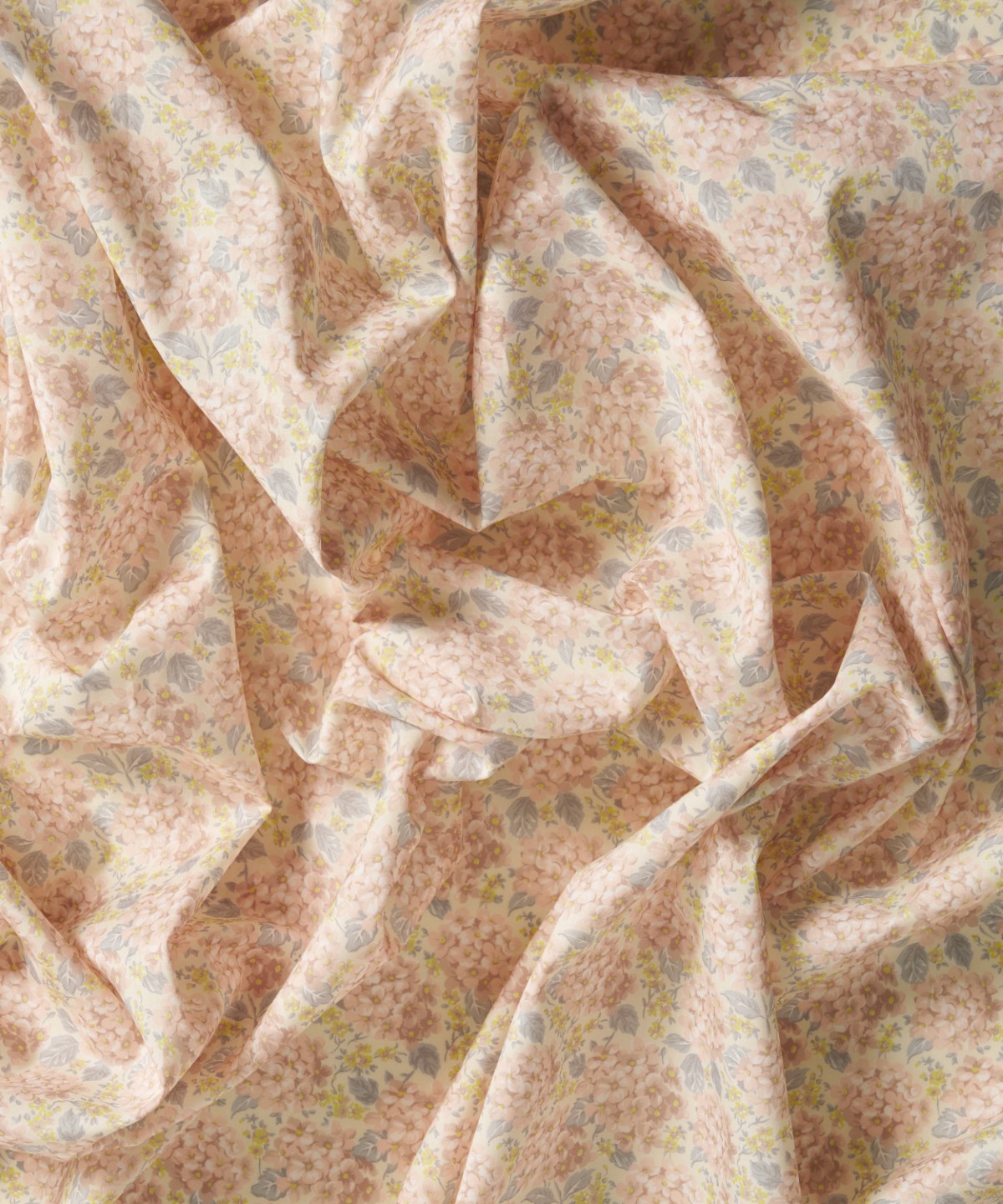 ハンプシャー・ハイドランジア オーガニック・タナローン