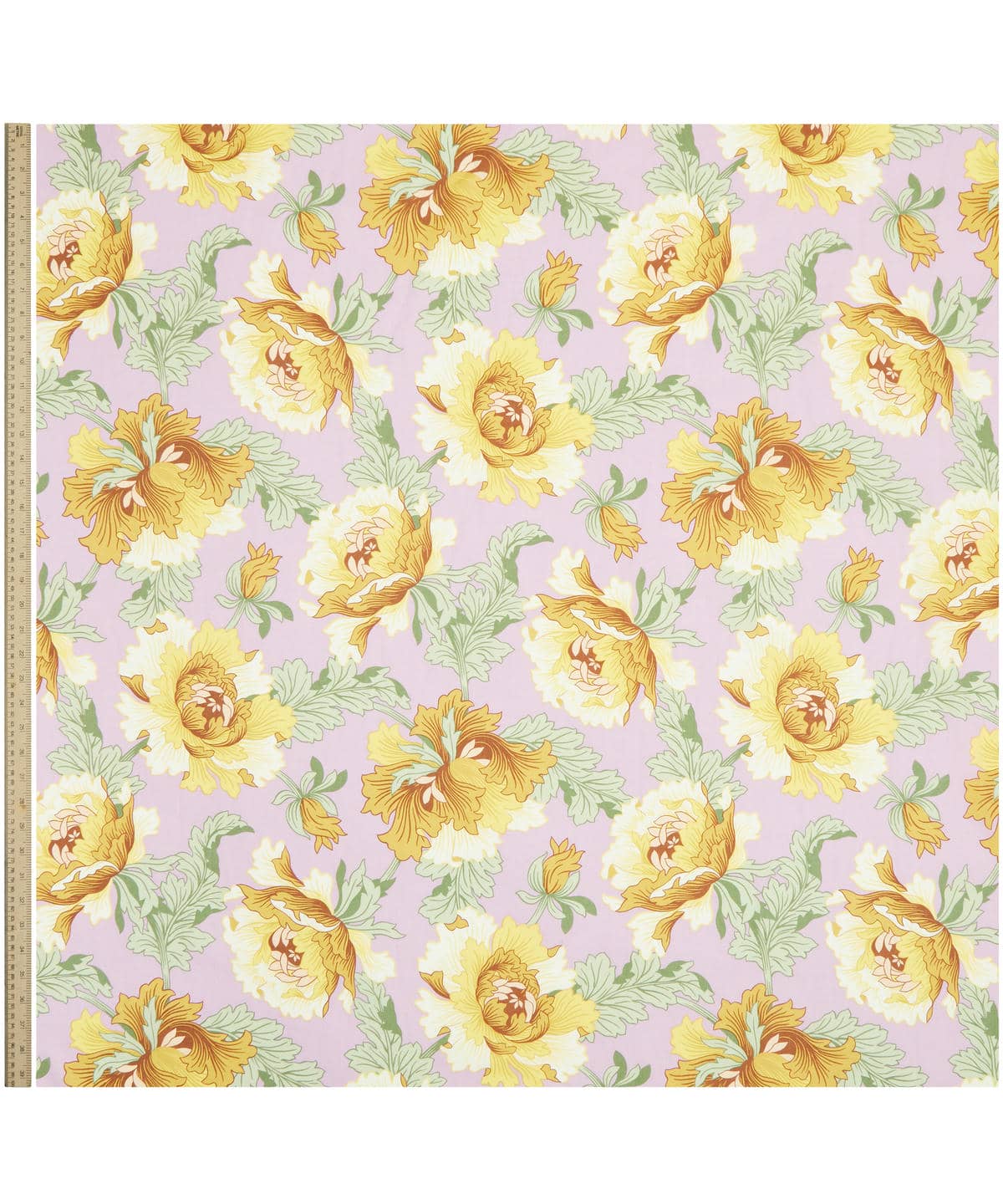 モダン・ダンディ タナローン