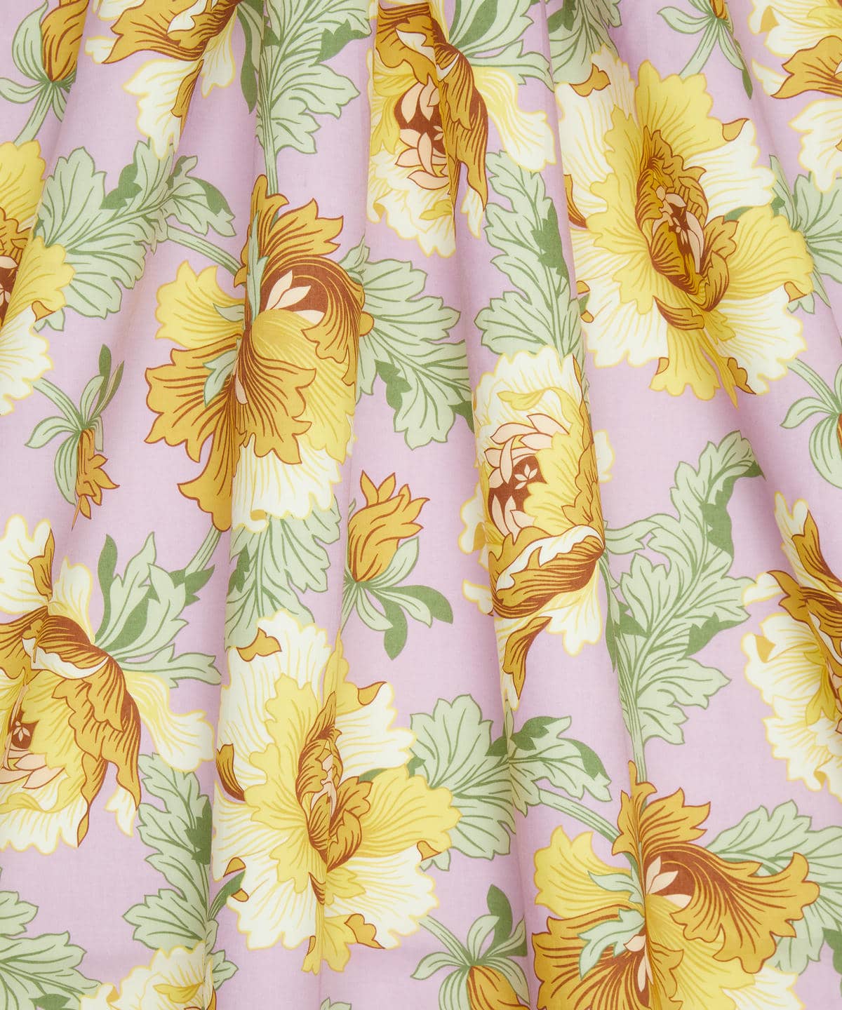 モダン・ダンディ タナローン