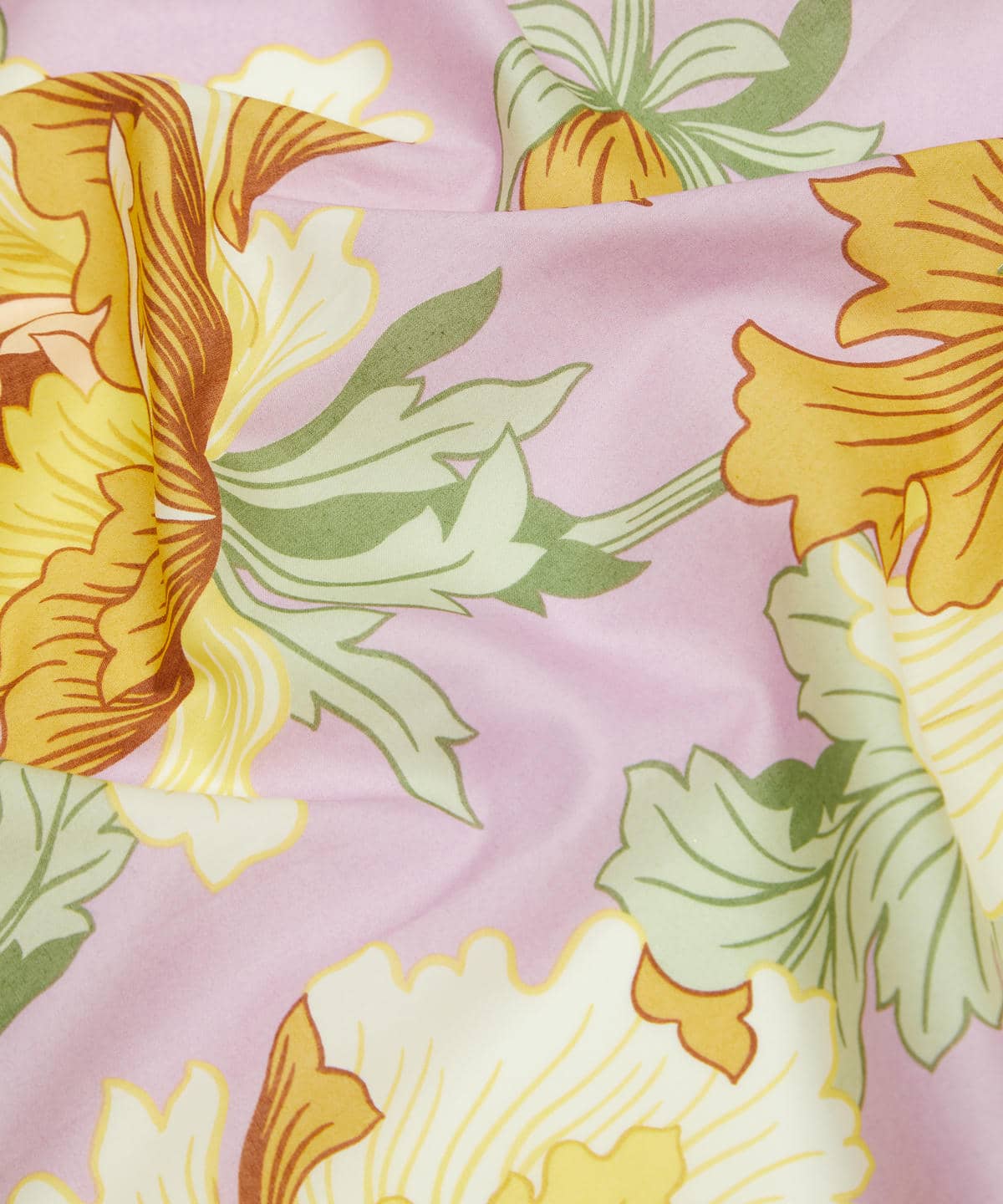 モダン・ダンディ タナローン