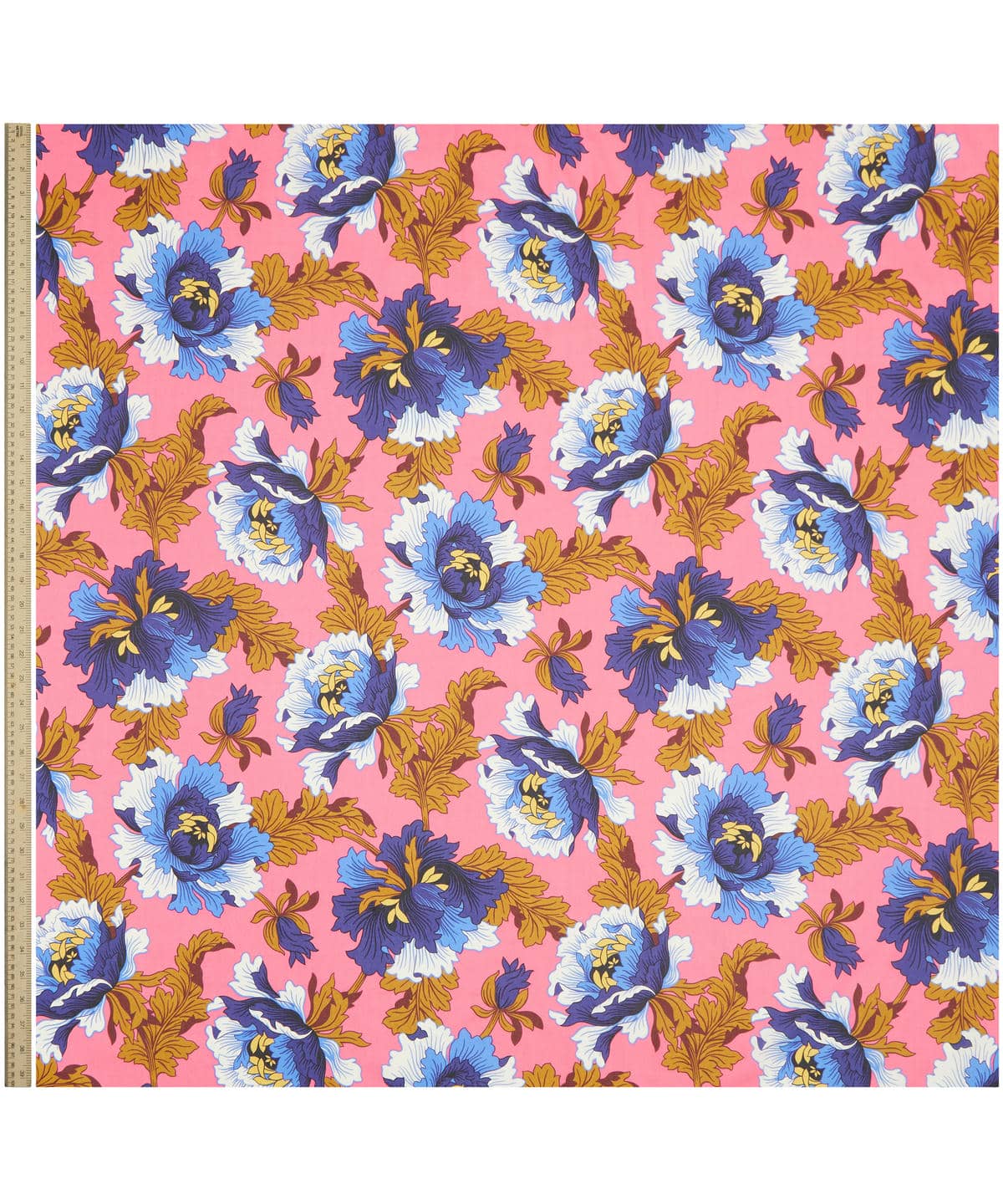 モダン・ダンディ タナローン