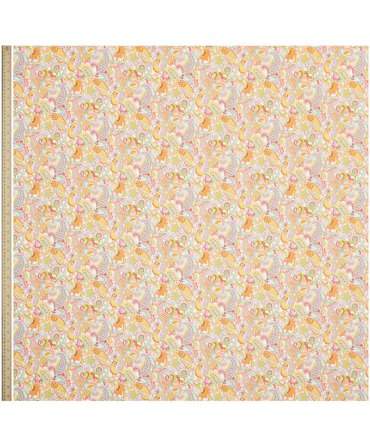 ミスター・ペイズリー タナローン