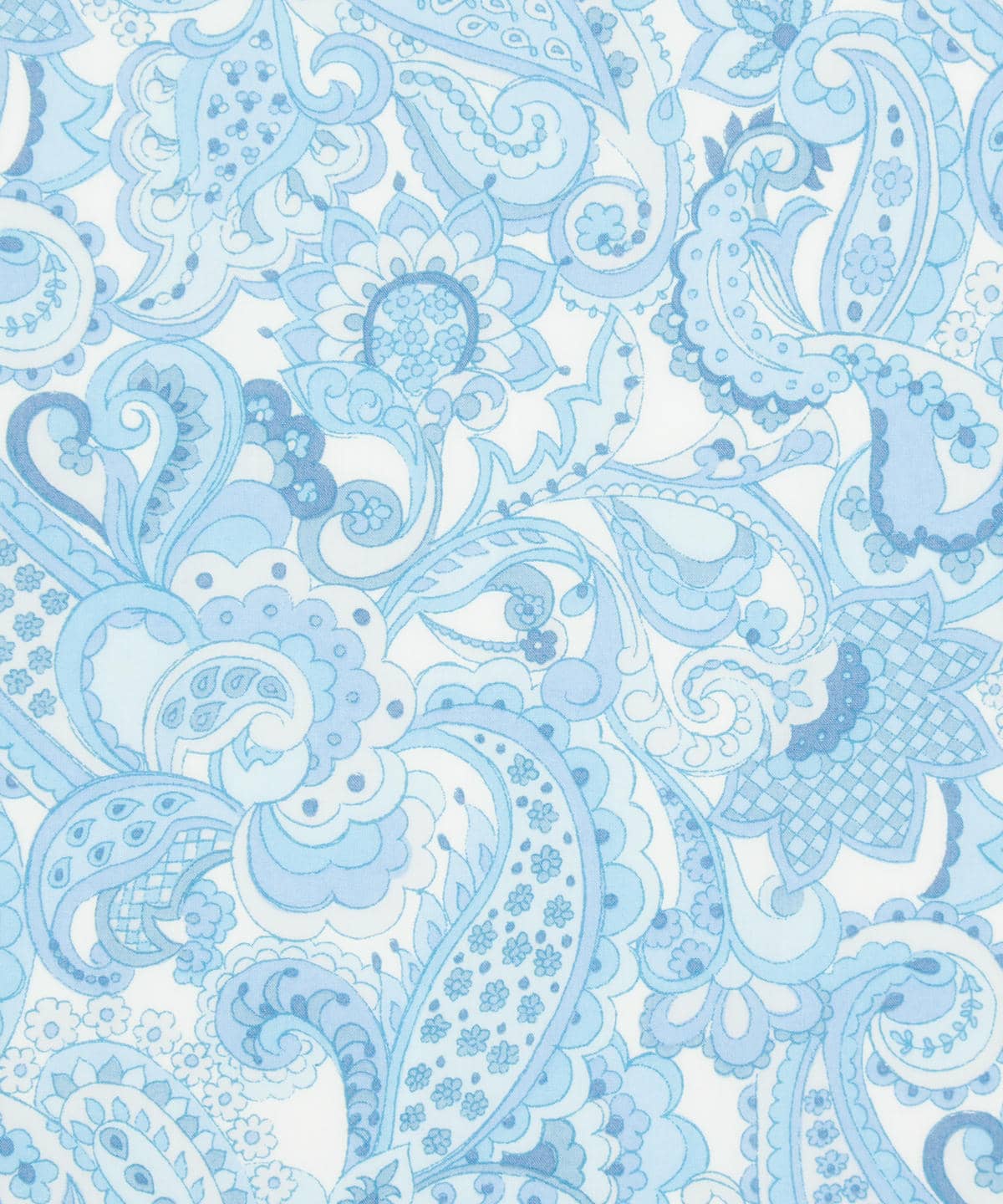 ミスター・ペイズリー タナローン