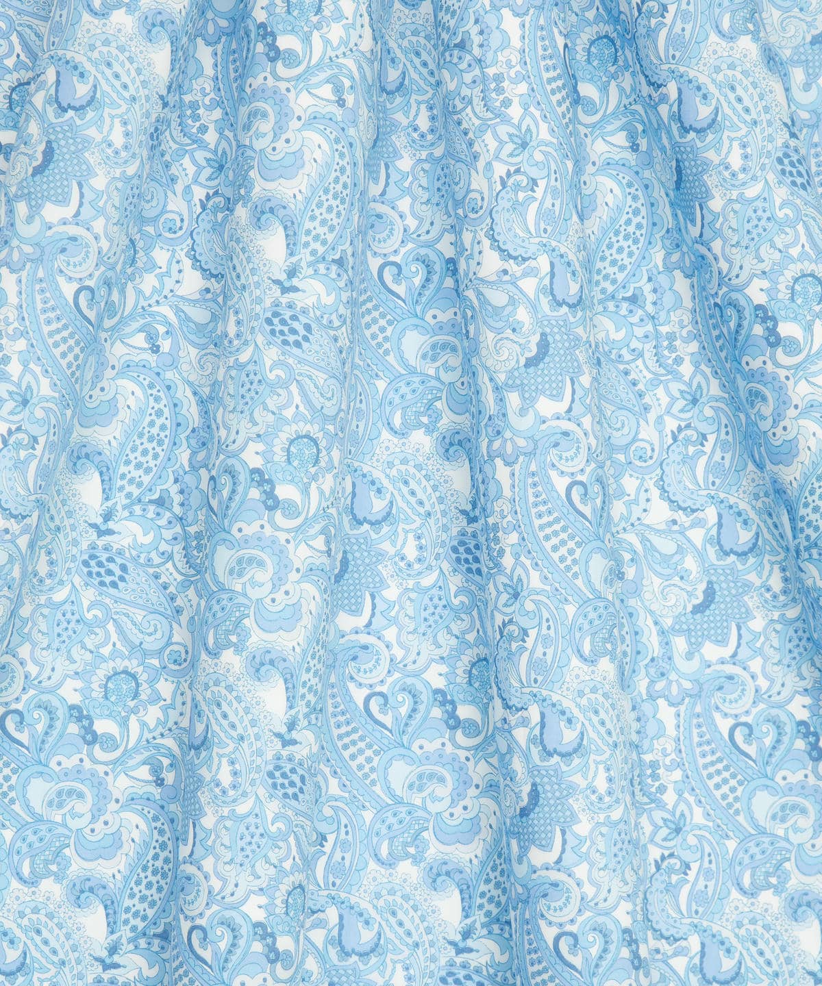 ミスター・ペイズリー タナローン