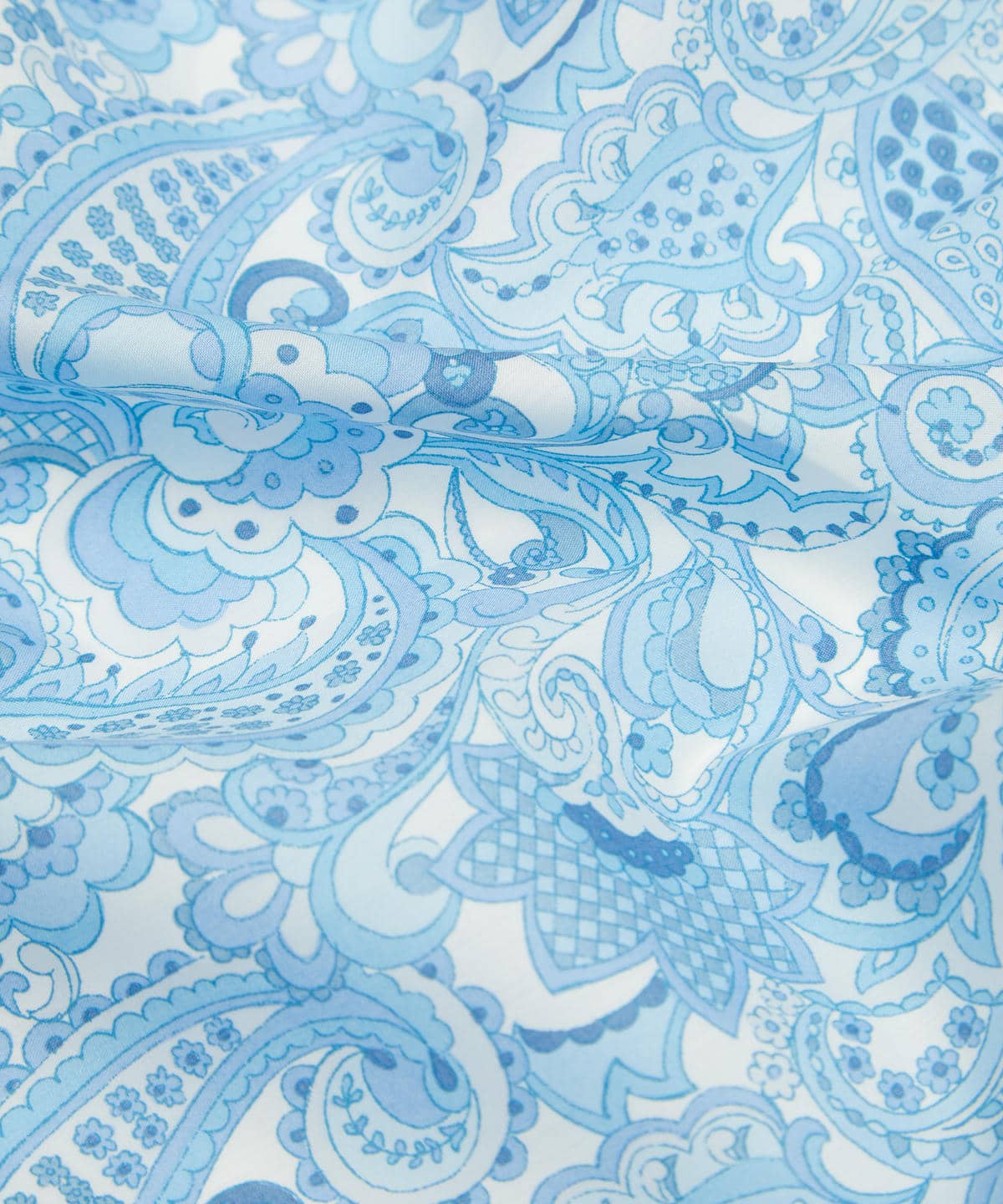 ミスター・ペイズリー タナローン