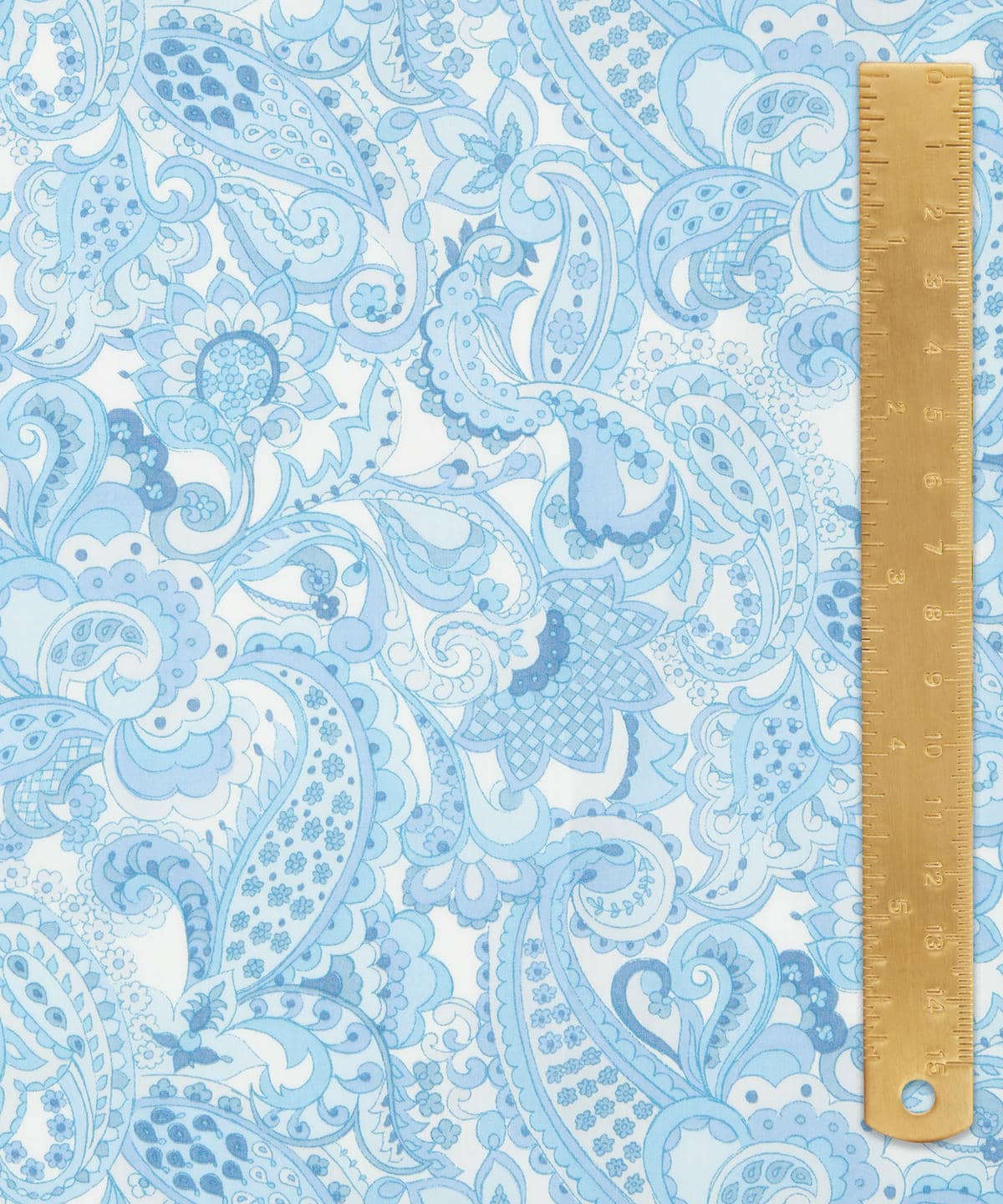 ミスター・ペイズリー タナローン