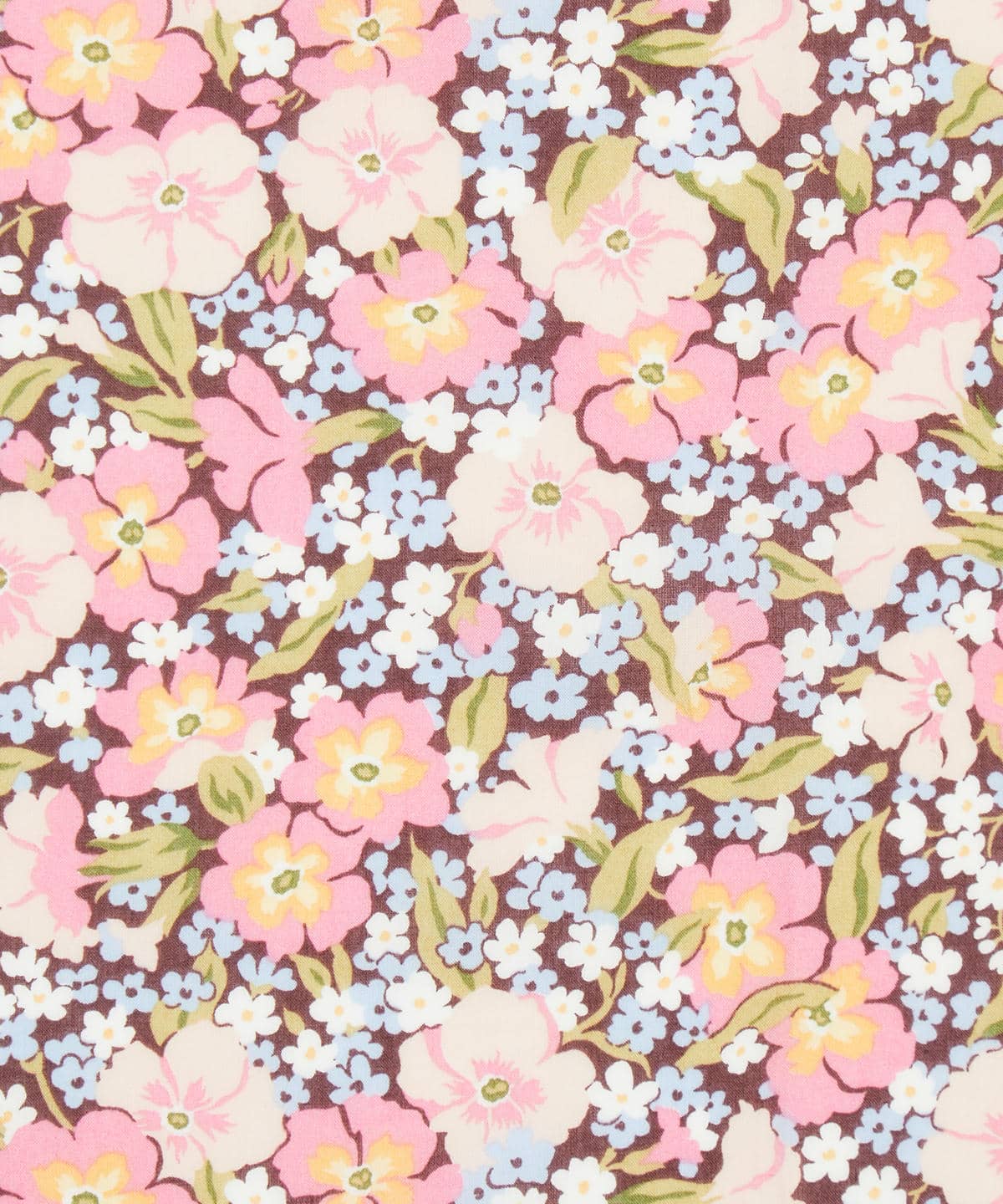 ガブリエラ・ジスー タナローン