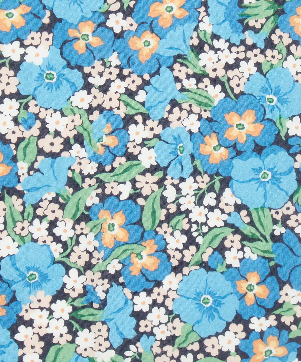 ガブリエラ・ジスー タナローン