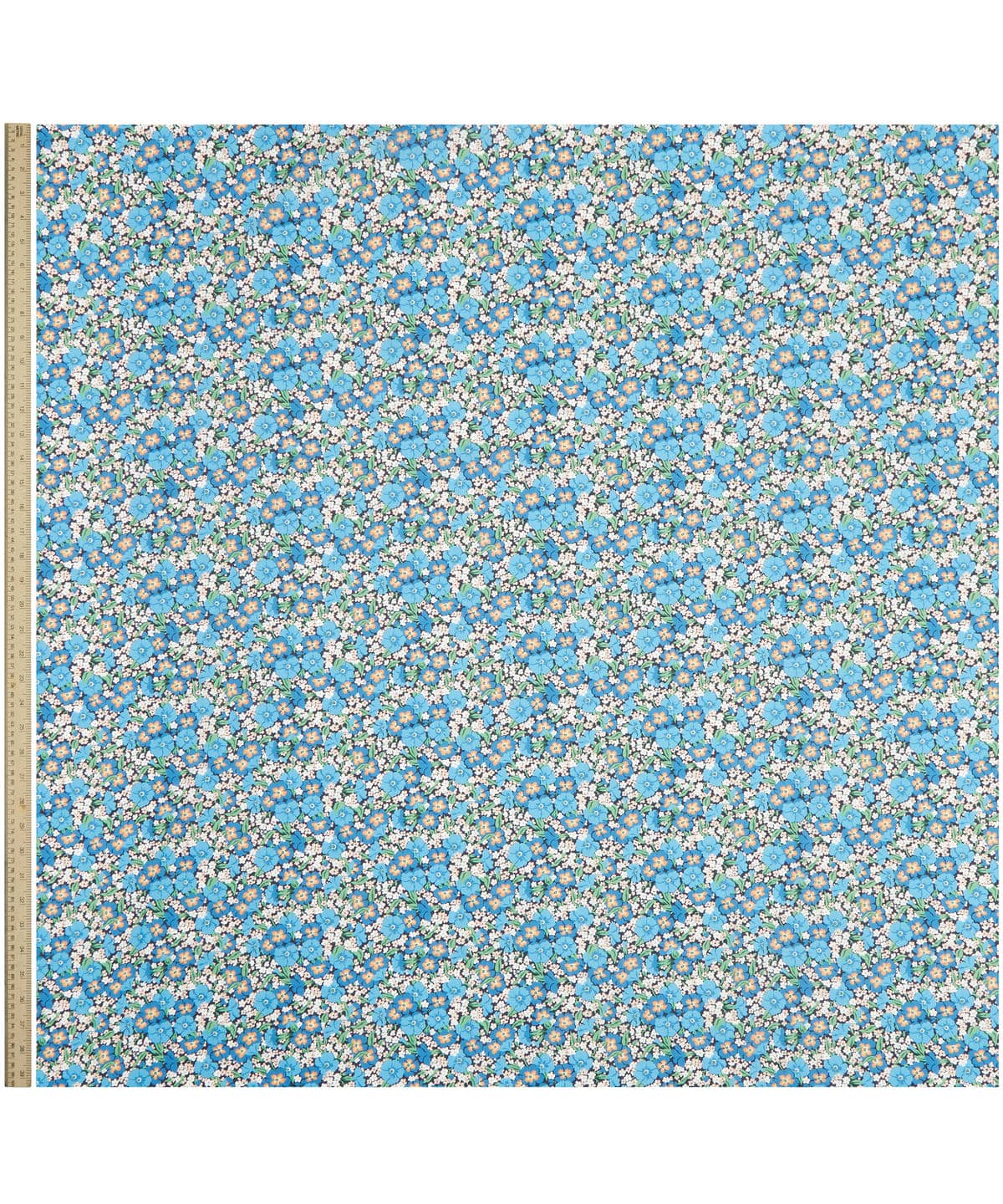 ガブリエラ・ジスー タナローン