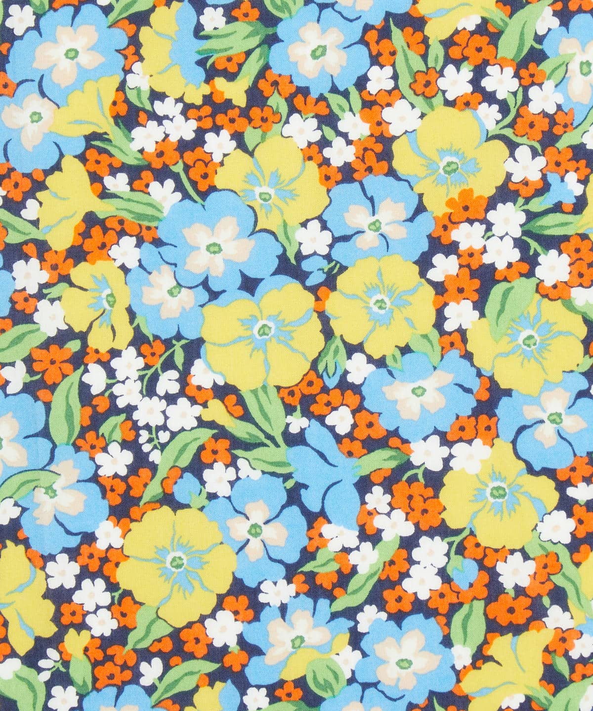 ガブリエラ・ジスー タナローン