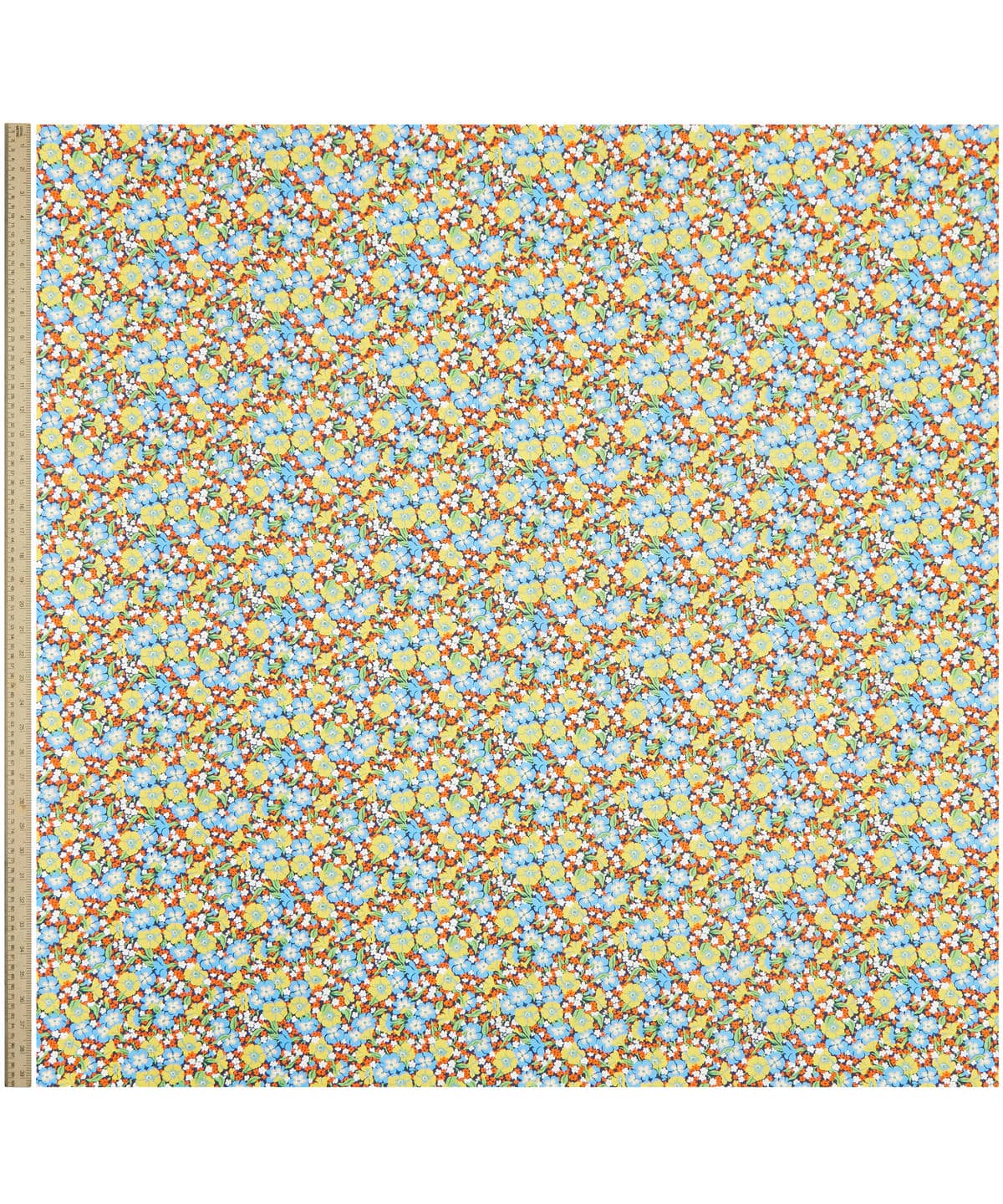 ガブリエラ・ジスー タナローン