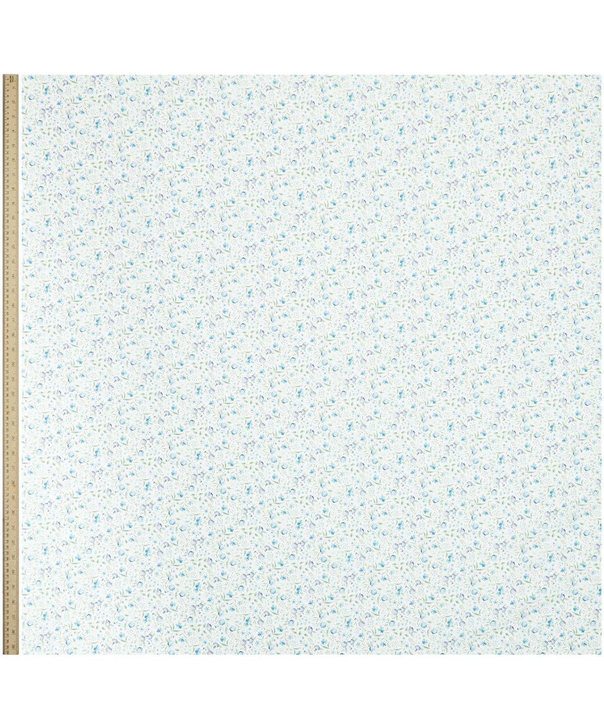 ロビン・エミリー タナローン