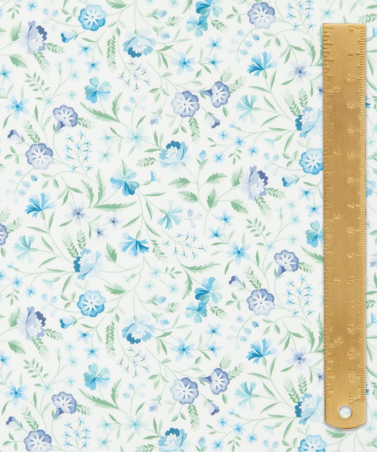 ロビン・エミリー タナローン