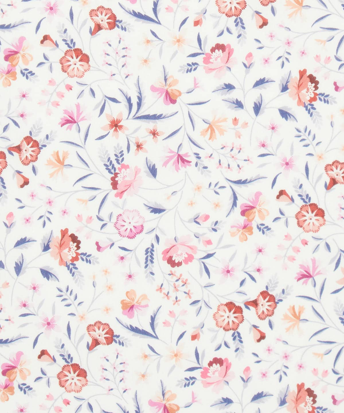 ロビン・エミリー タナローン