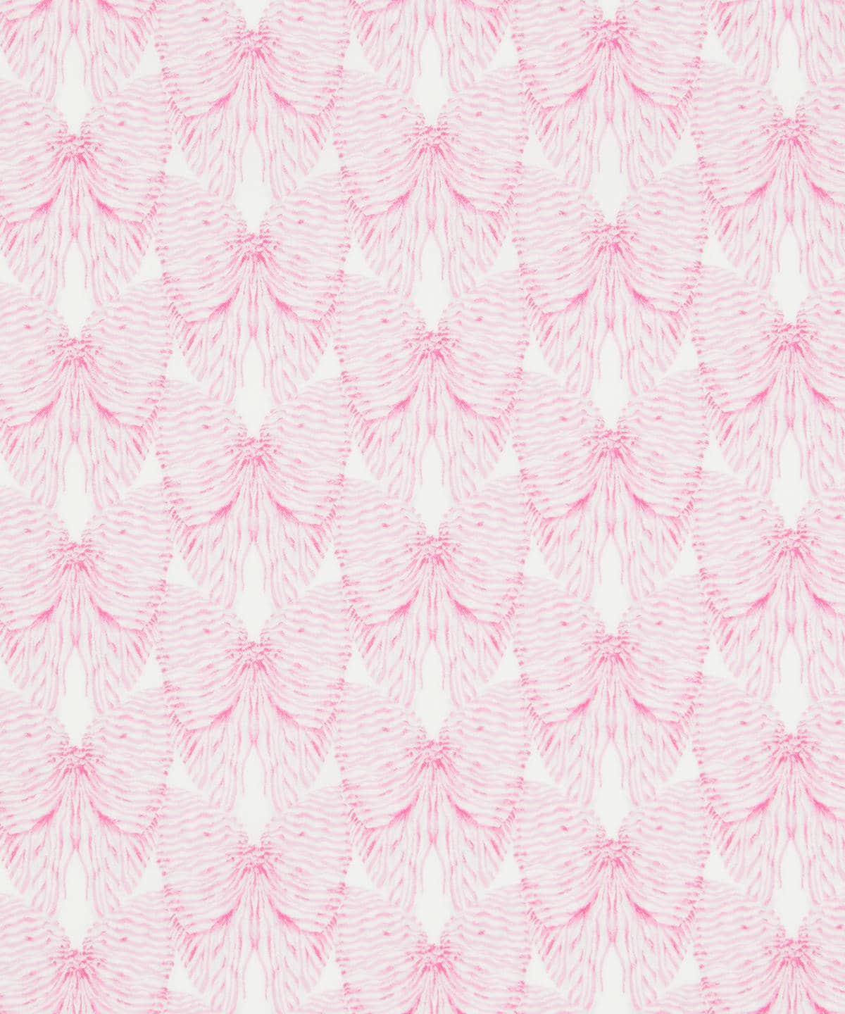 バッスル・アンド・ボウ タナローン