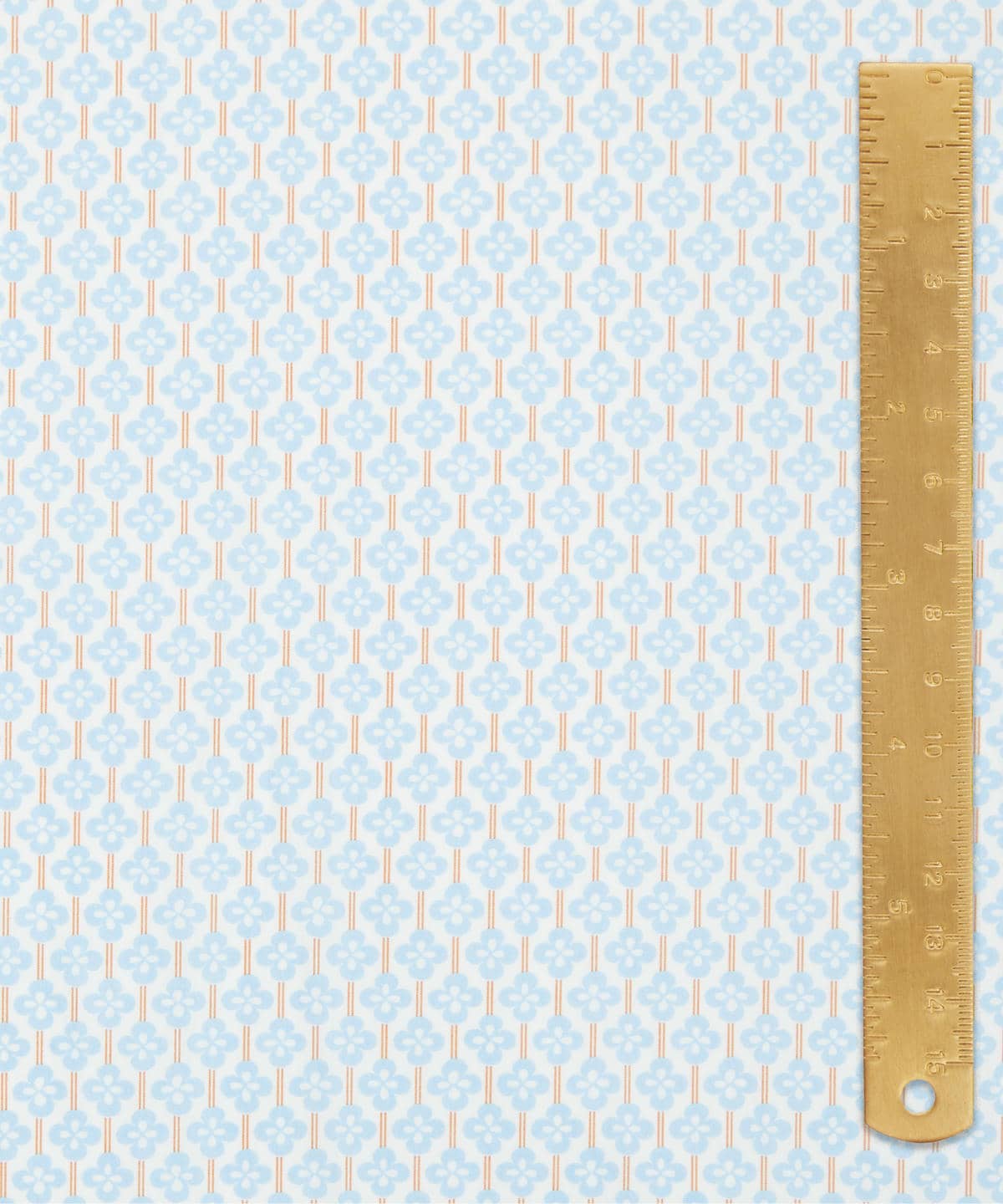 クローバー・フィールズ タナローン