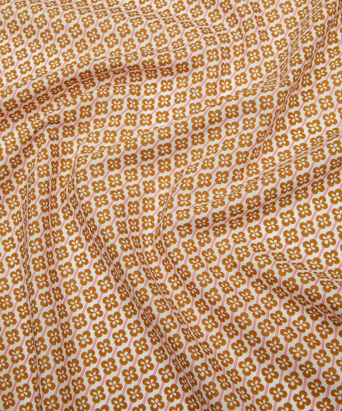 クローバー・フィールズ タナローン