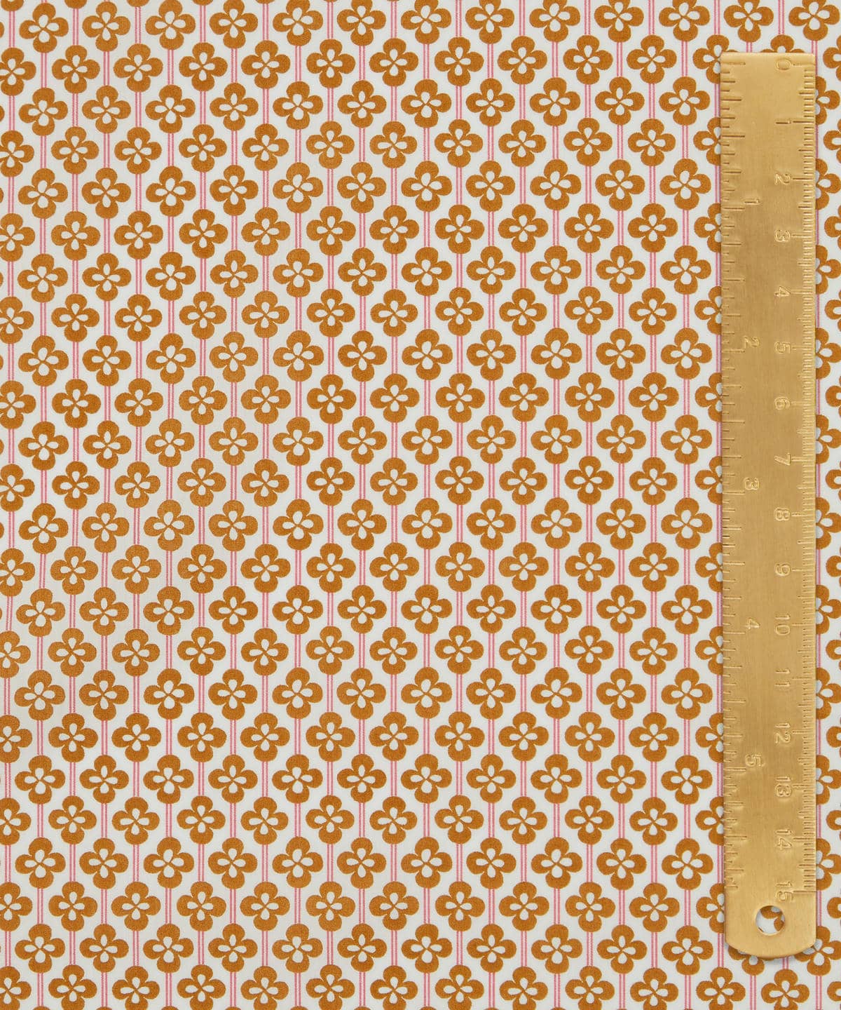 クローバー・フィールズ タナローン