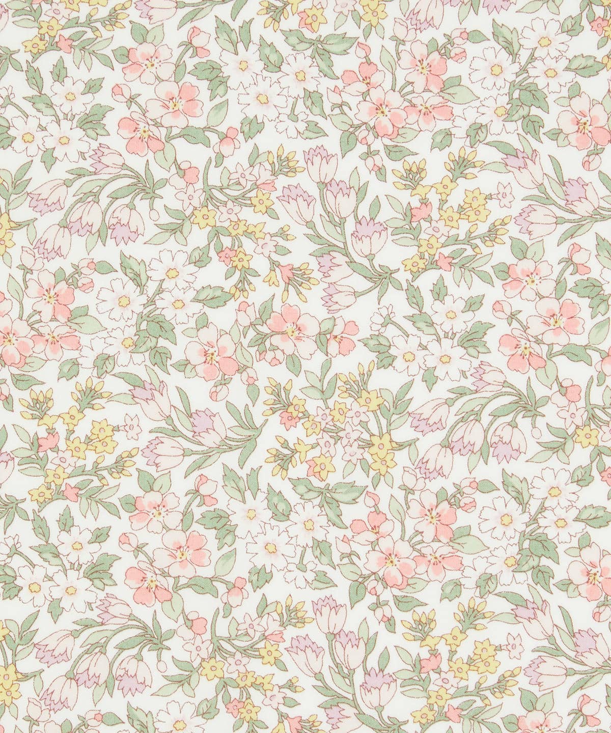 ナザニン タナローン