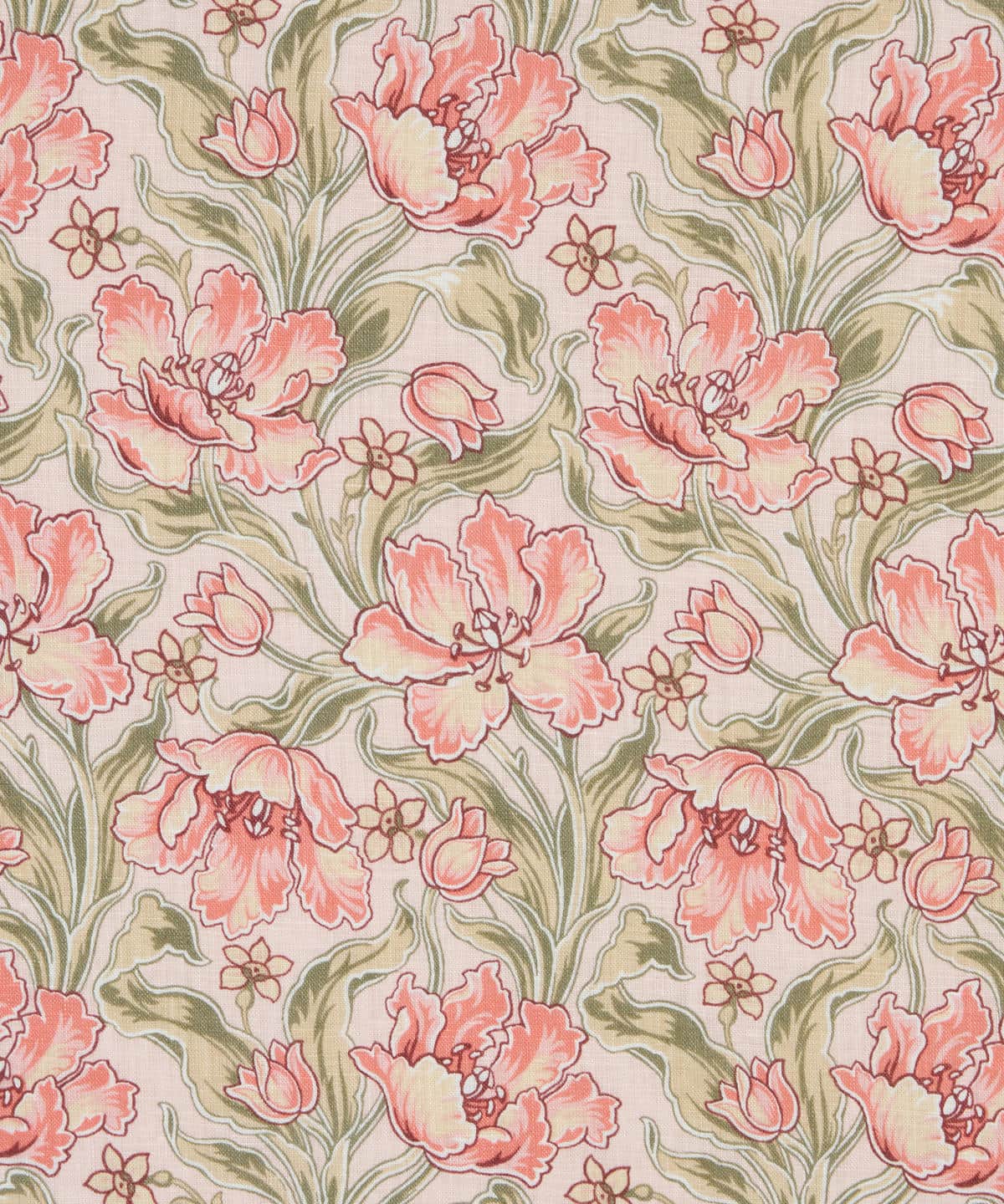 アーカイブ・チューリップス フランダースリネン