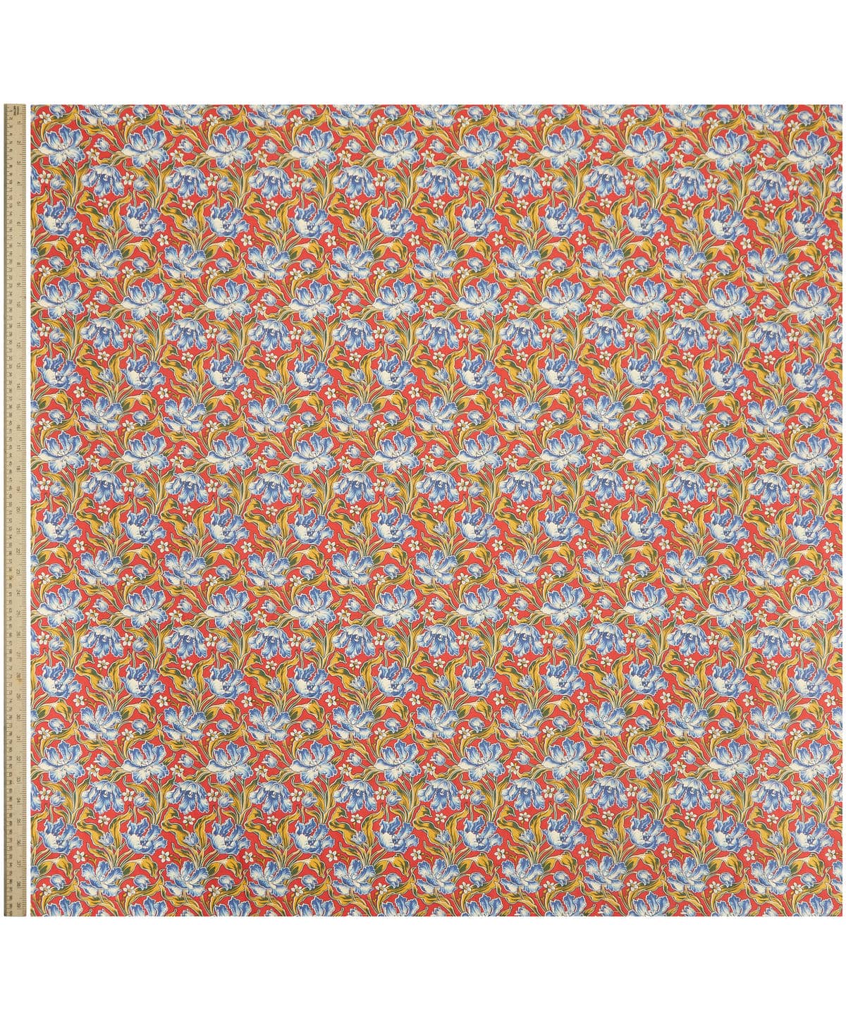 アーカイブ・チューリップス タナローン