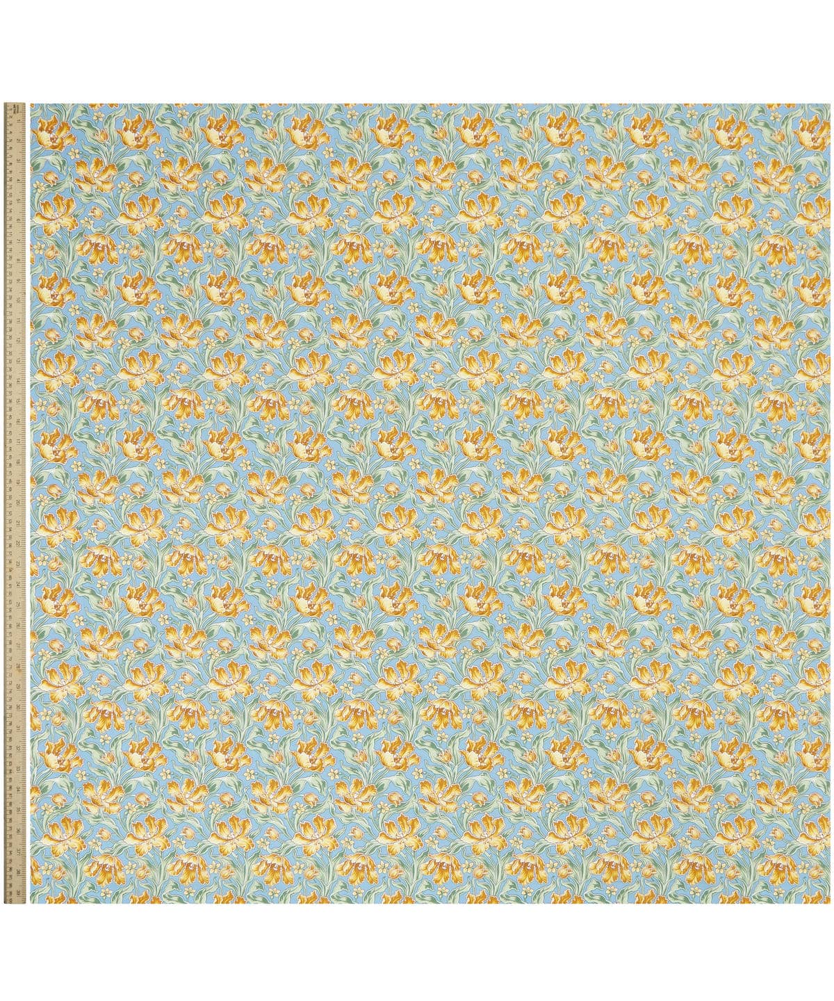 アーカイブ・チューリップス タナローン