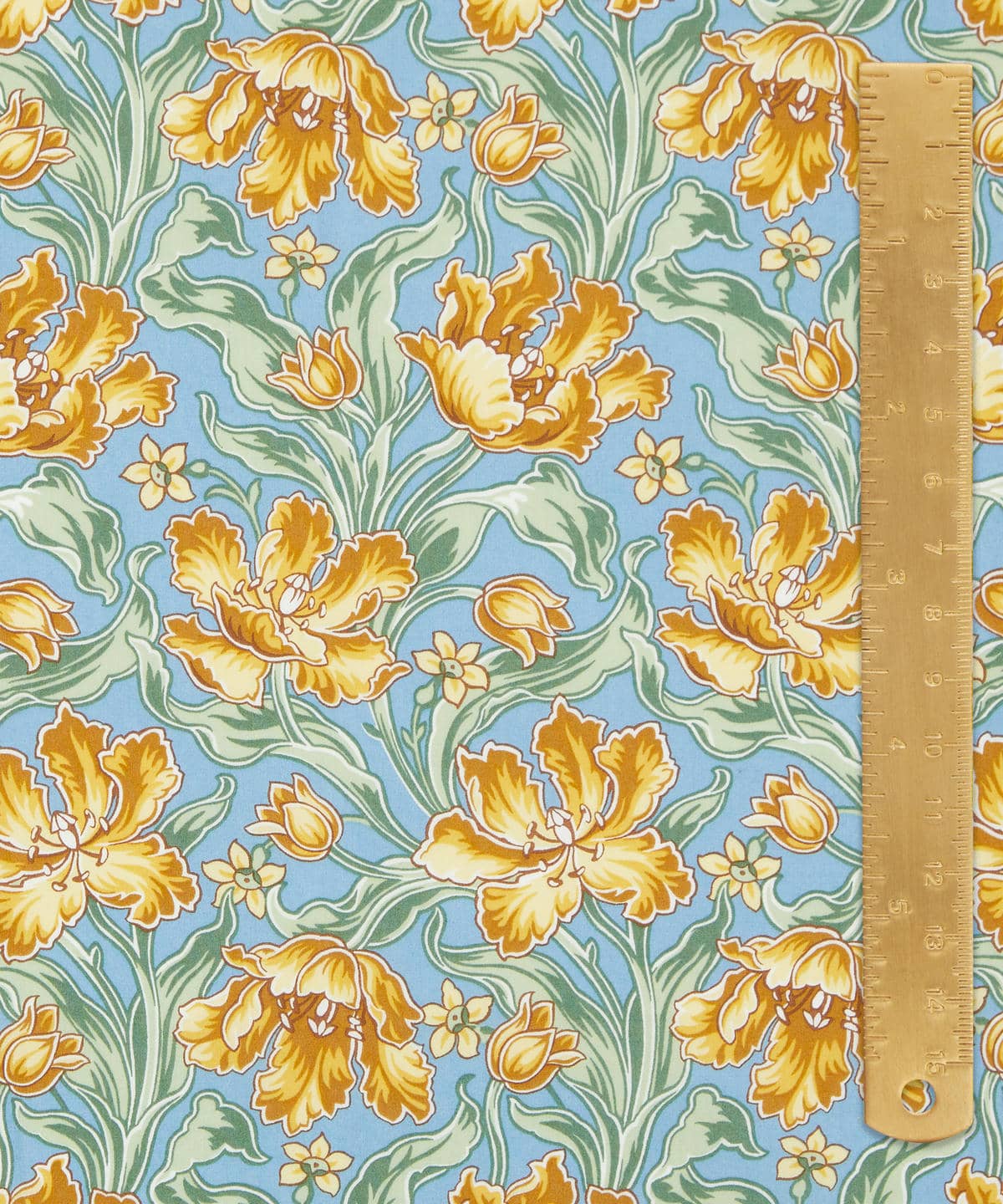 アーカイブ・チューリップス タナローン