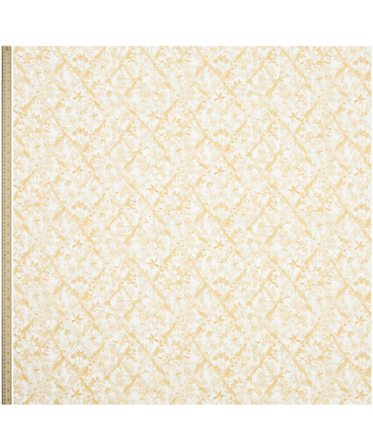 トロピカル・トワール タナローン