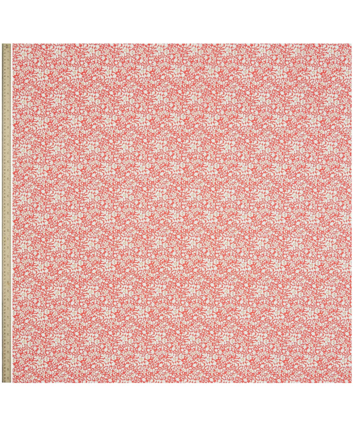 リジー タナローン