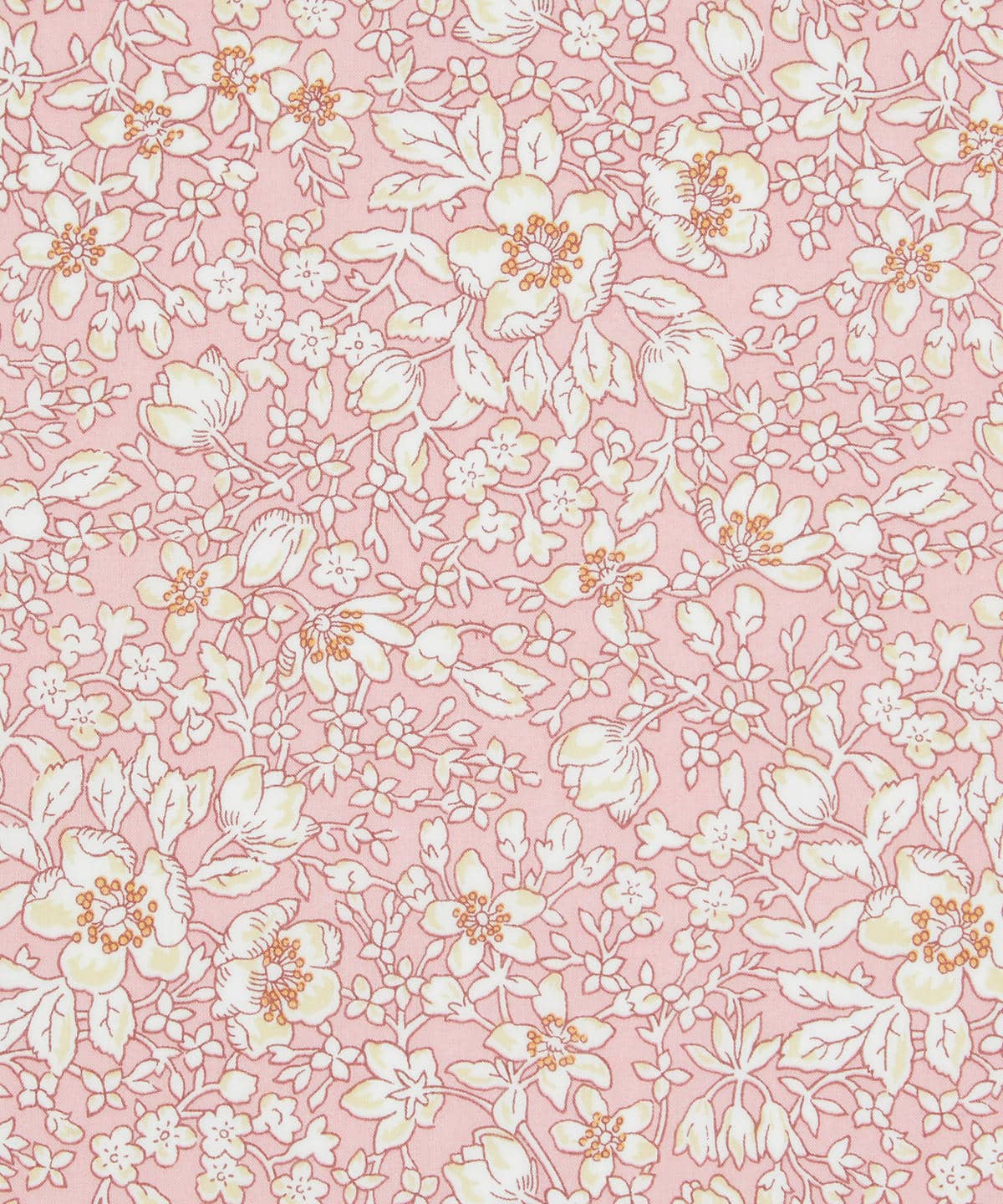 リジー タナローン