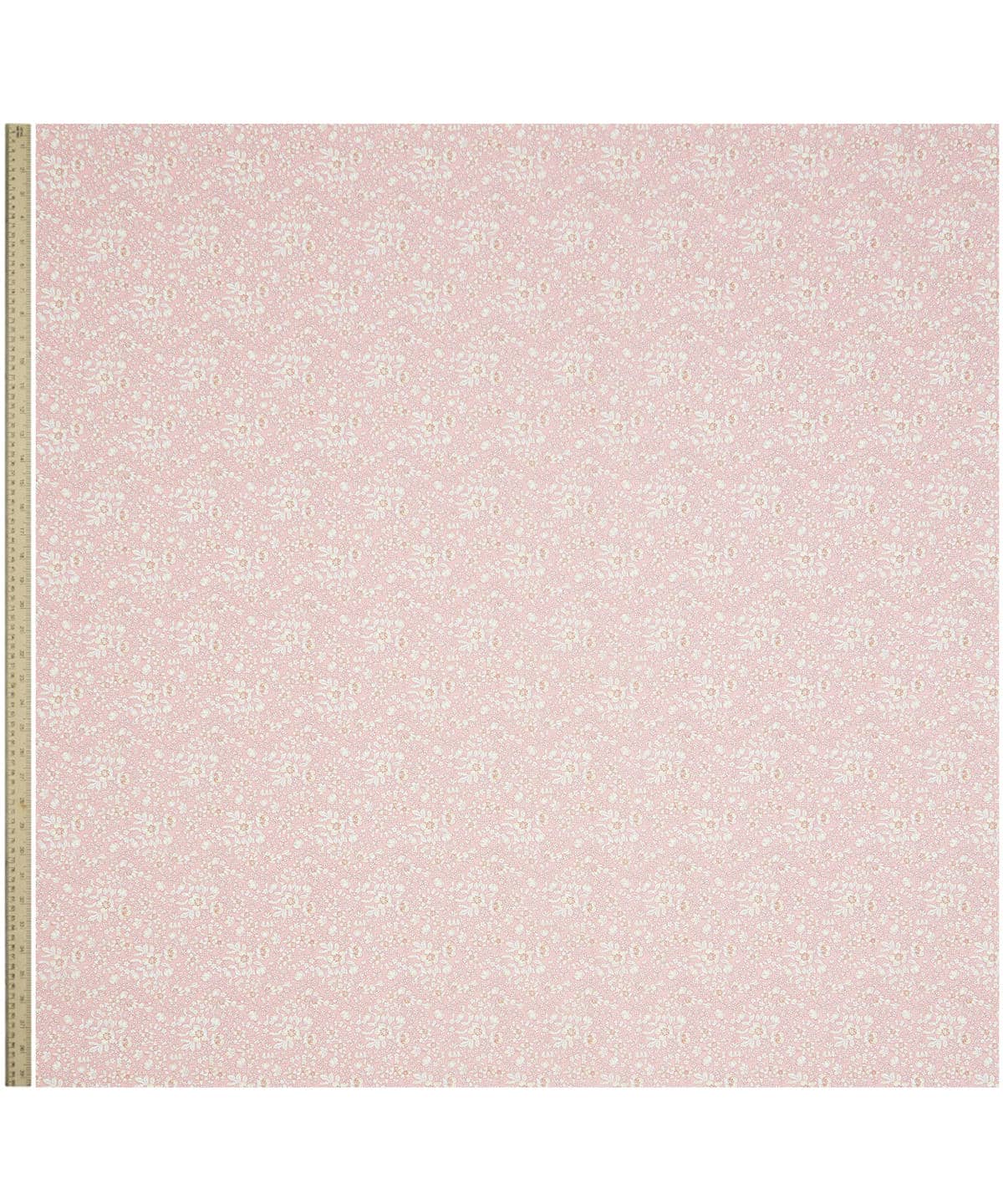 リジー タナローン