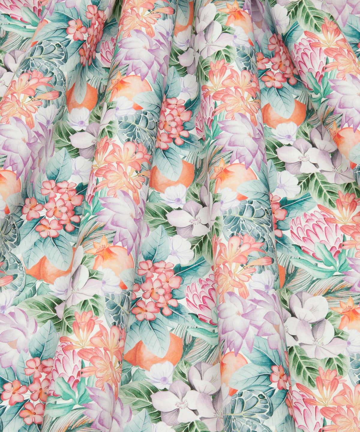 ポピー・アンド・フレディ タナローン