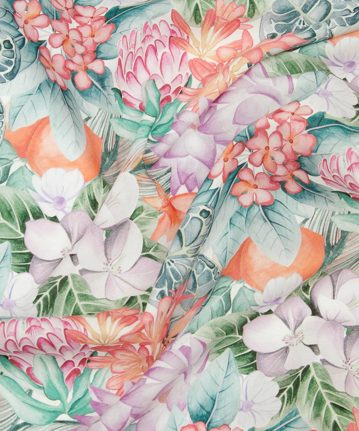 ポピー・アンド・フレディ タナローン