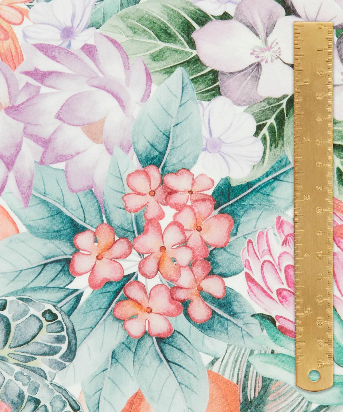 ポピー・アンド・フレディ タナローン