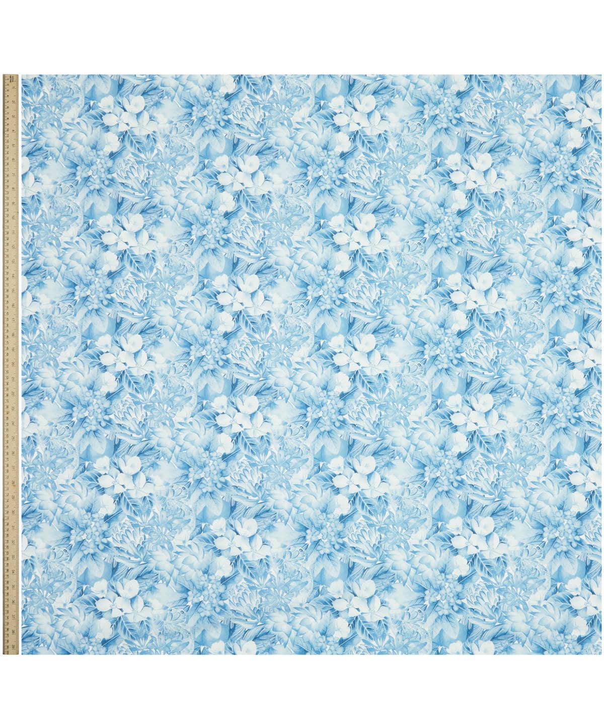 ポピー・アンド・フレディ タナローン