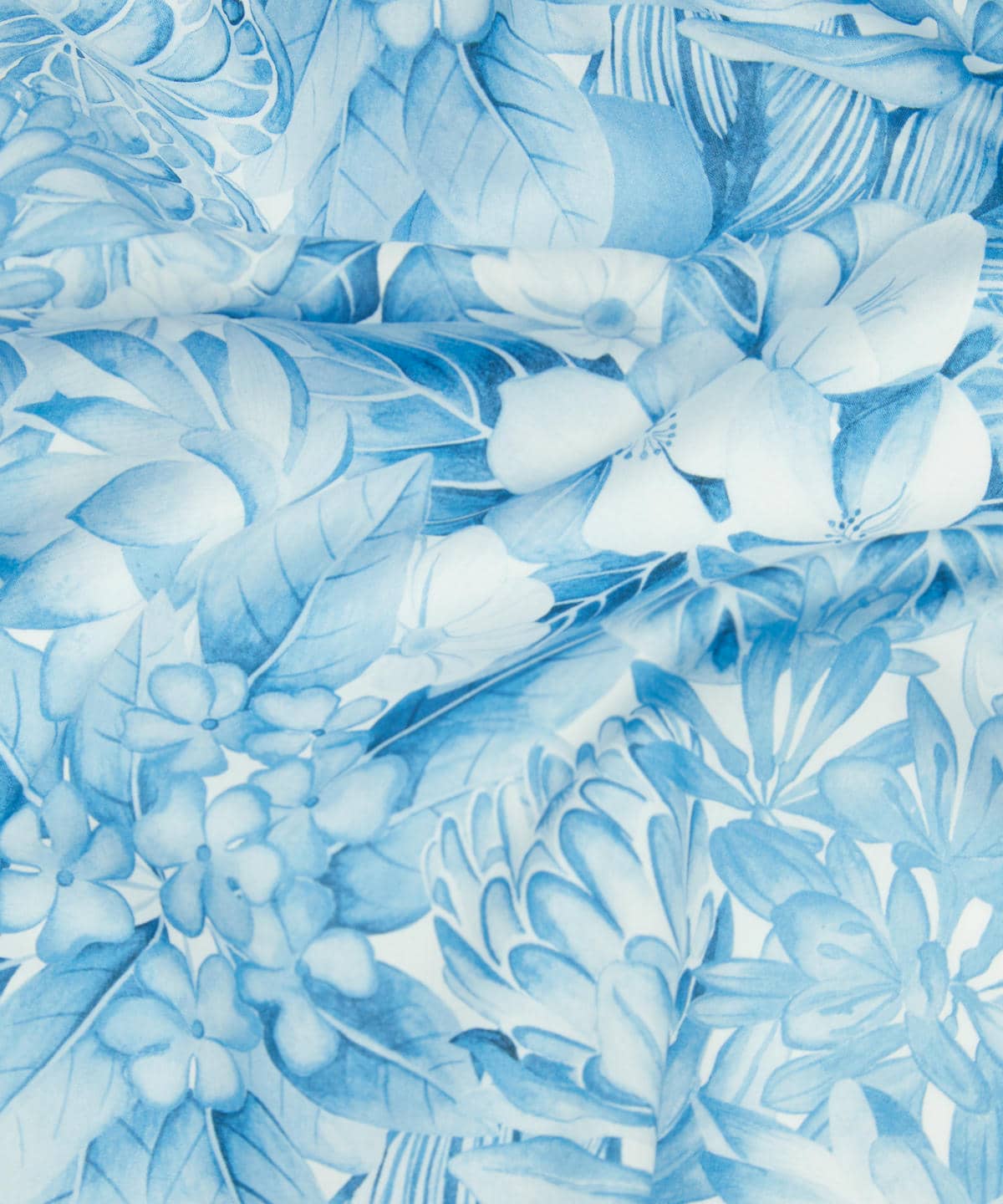 ポピー・アンド・フレディ タナローン