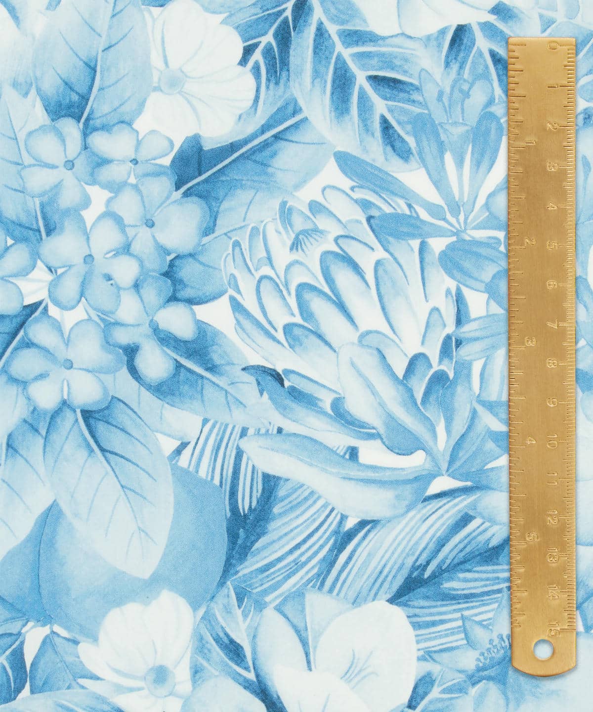 ポピー・アンド・フレディ タナローン