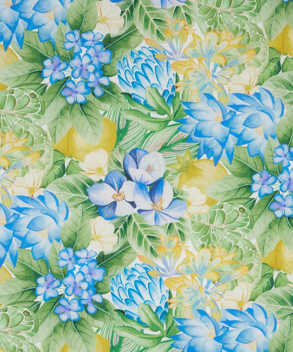 ポピー・アンド・フレディ タナローン