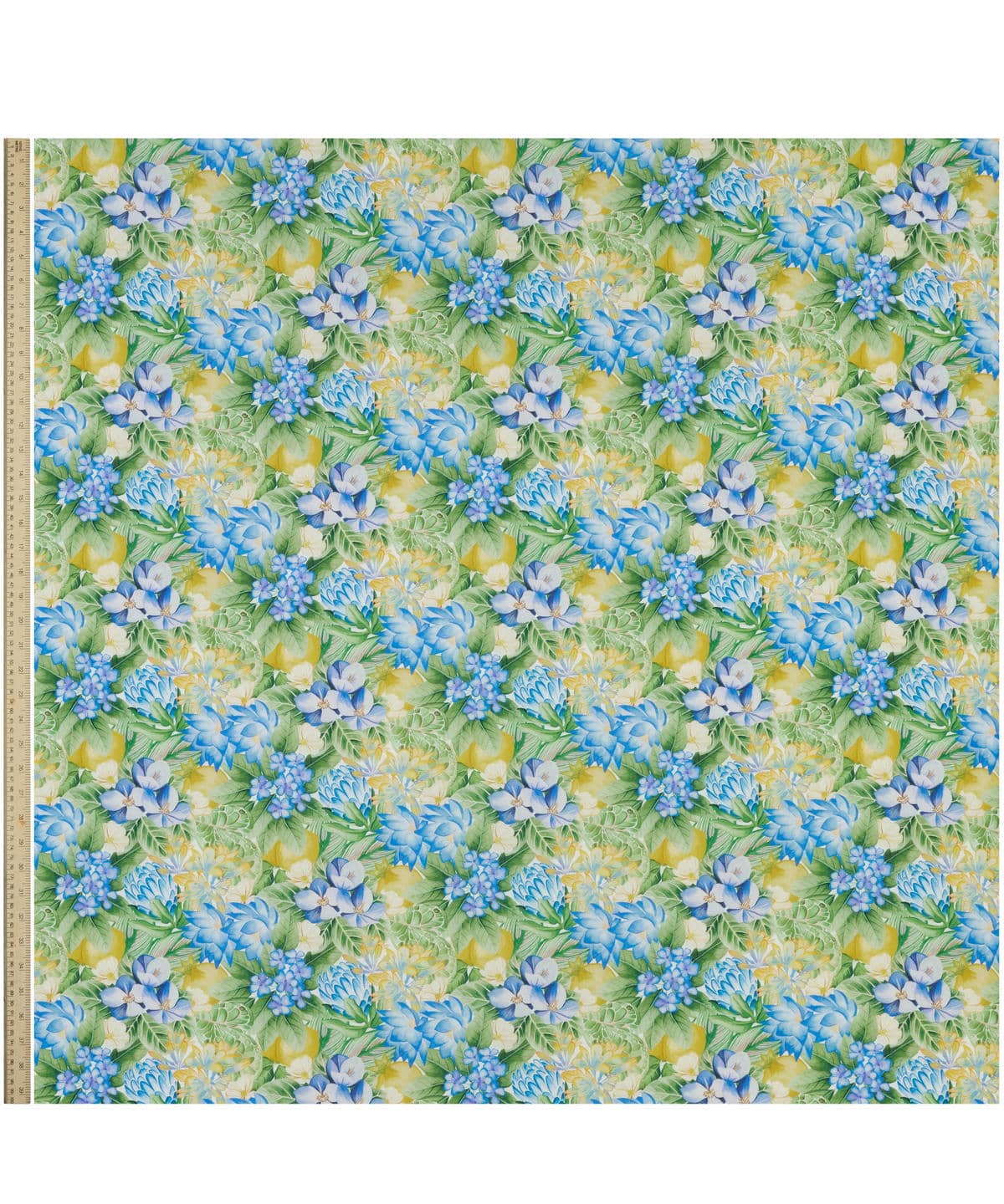 ポピー・アンド・フレディ タナローン