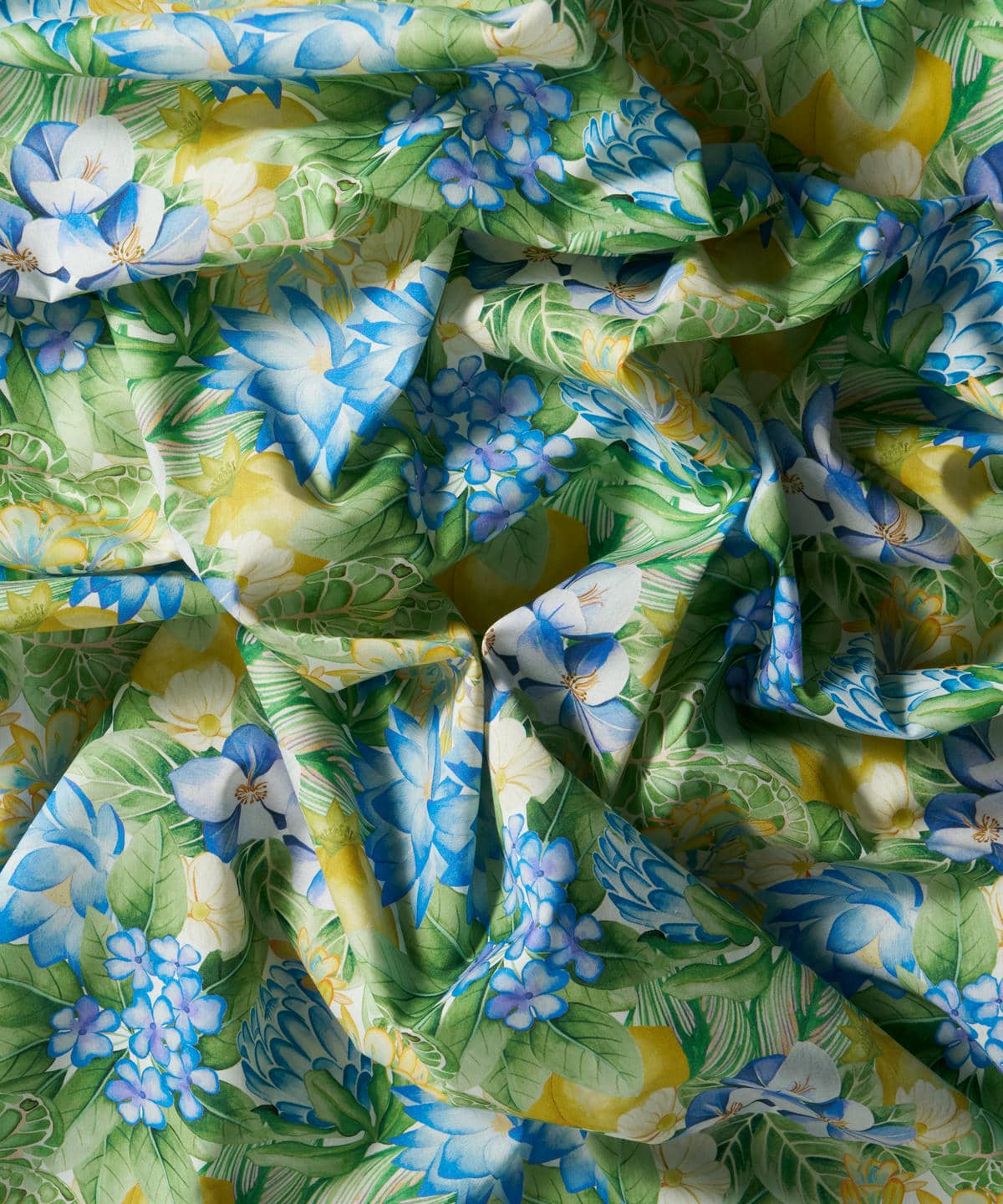 ポピー・アンド・フレディ タナローン