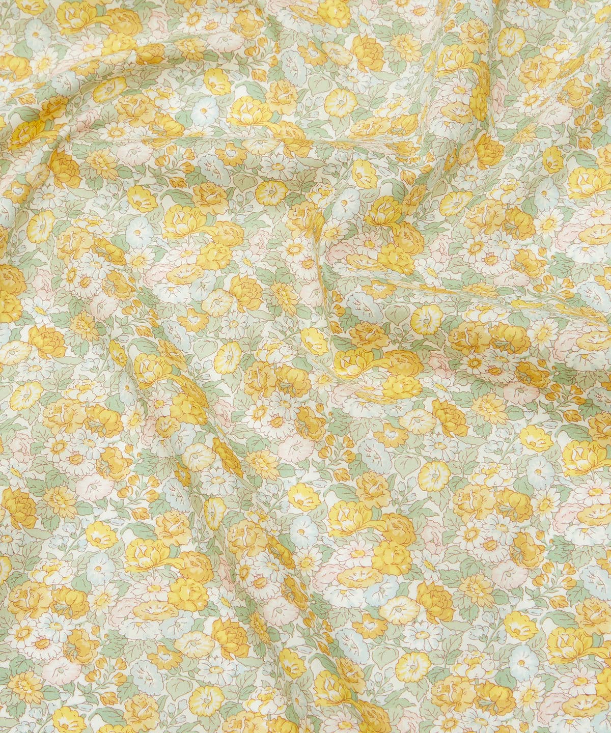 レオンタイン・ドリーム タナローン