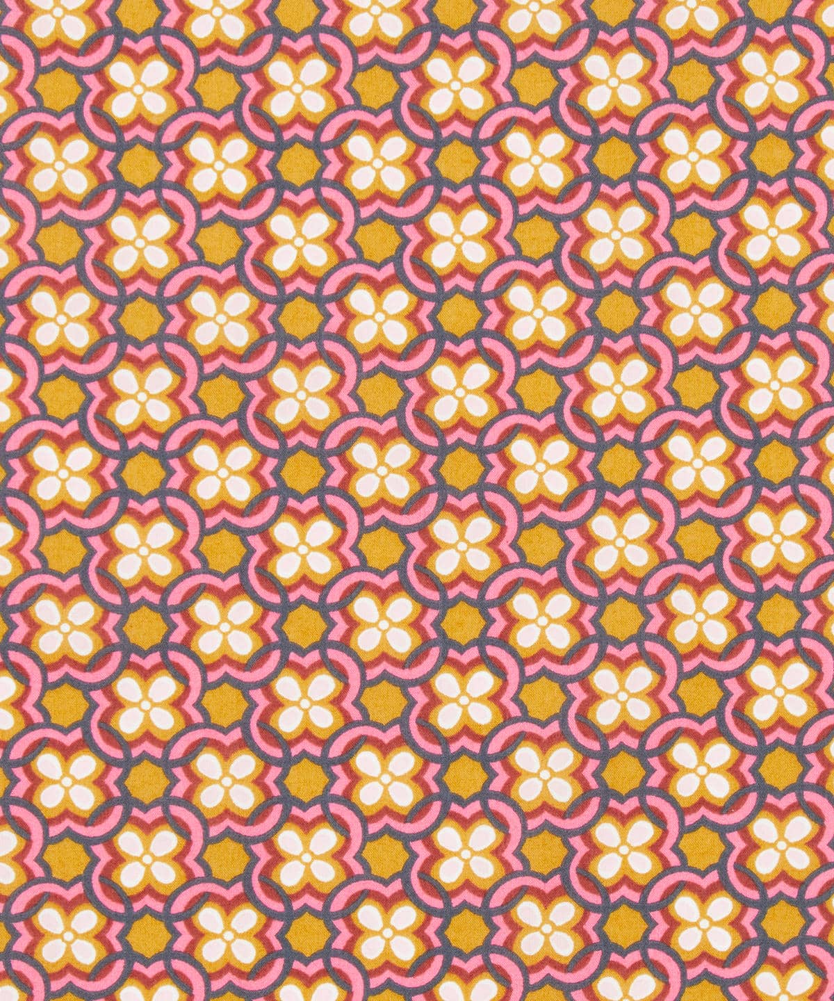 デイジー・リンク タナローン