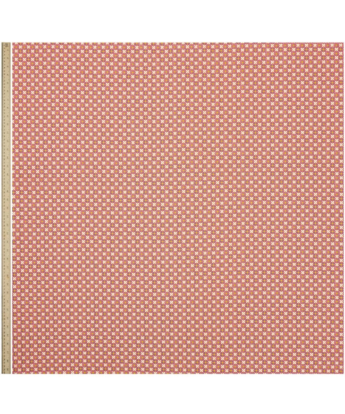 デイジー・リンク タナローン