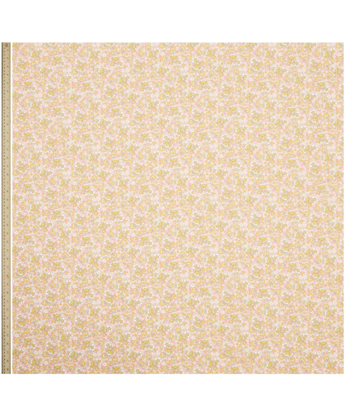 ダンシング・ポゥジーズ タナローン