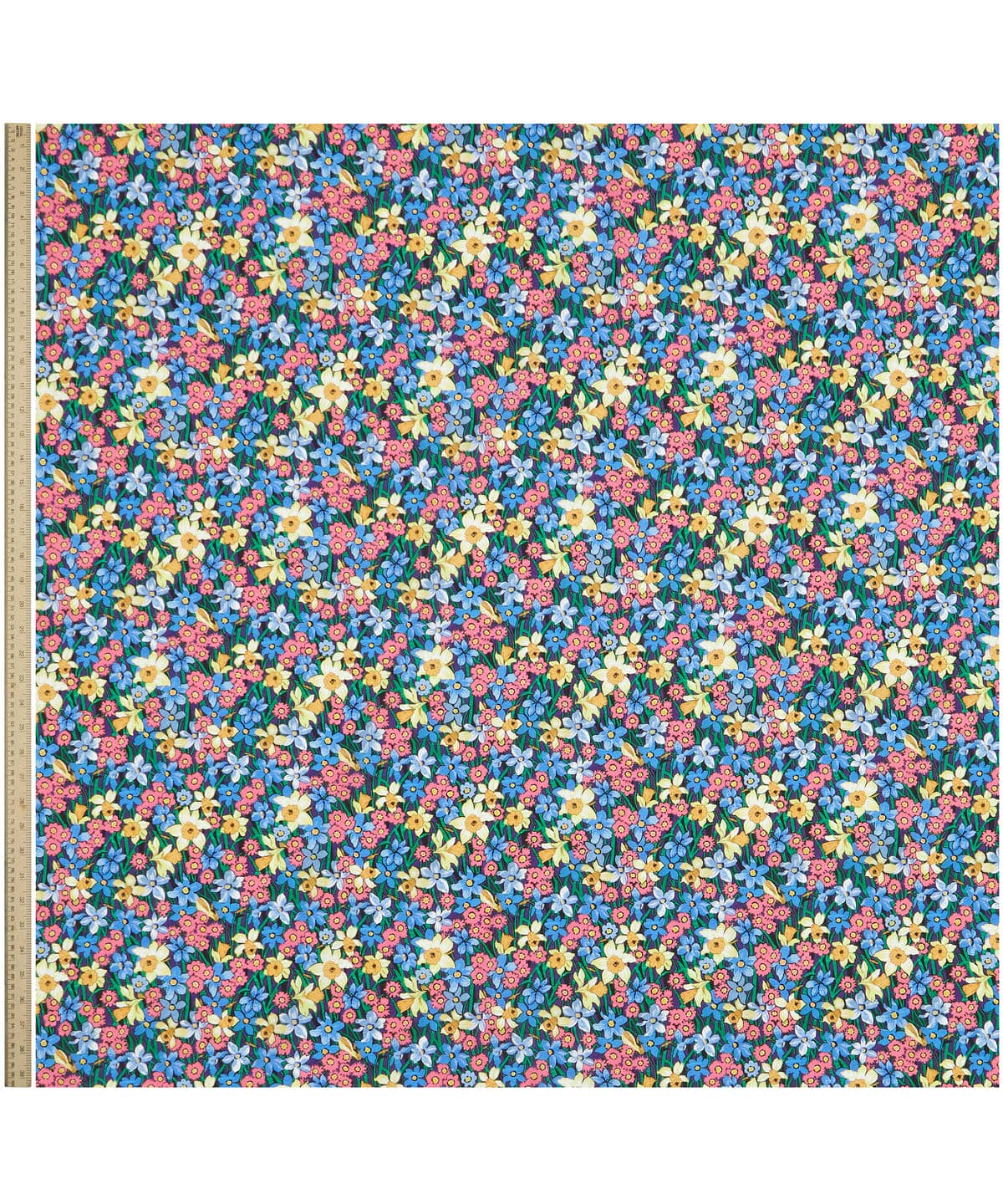 ダフォディル・デイズ タナローン