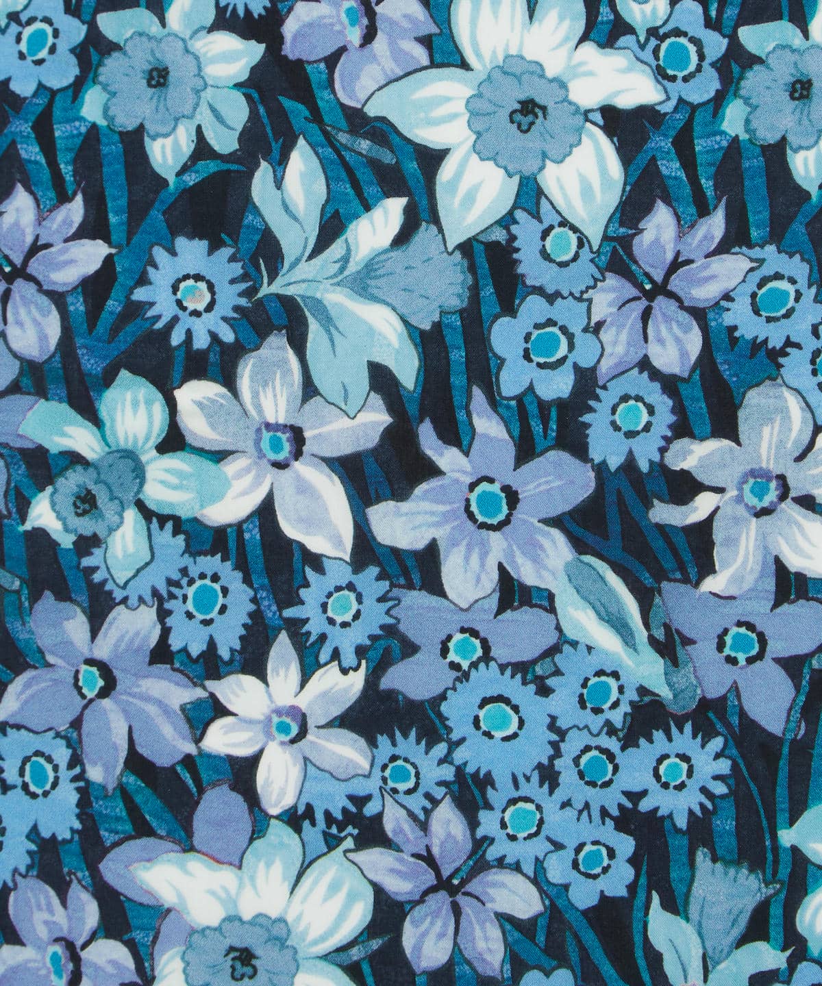 ダフォディル・デイズ タナローン